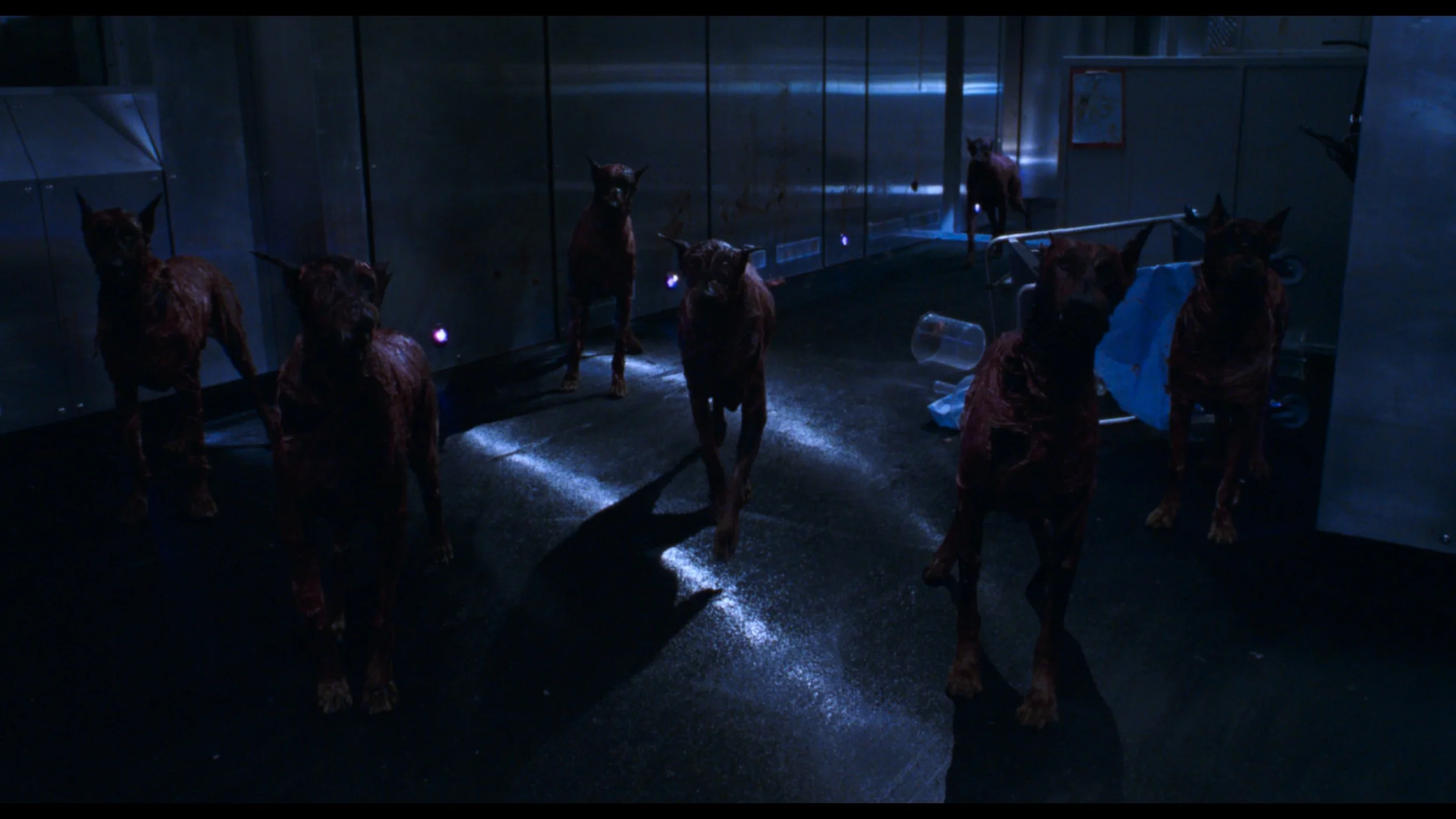 Resident Evil_t00.mkv_20260514_131728.294.jpg