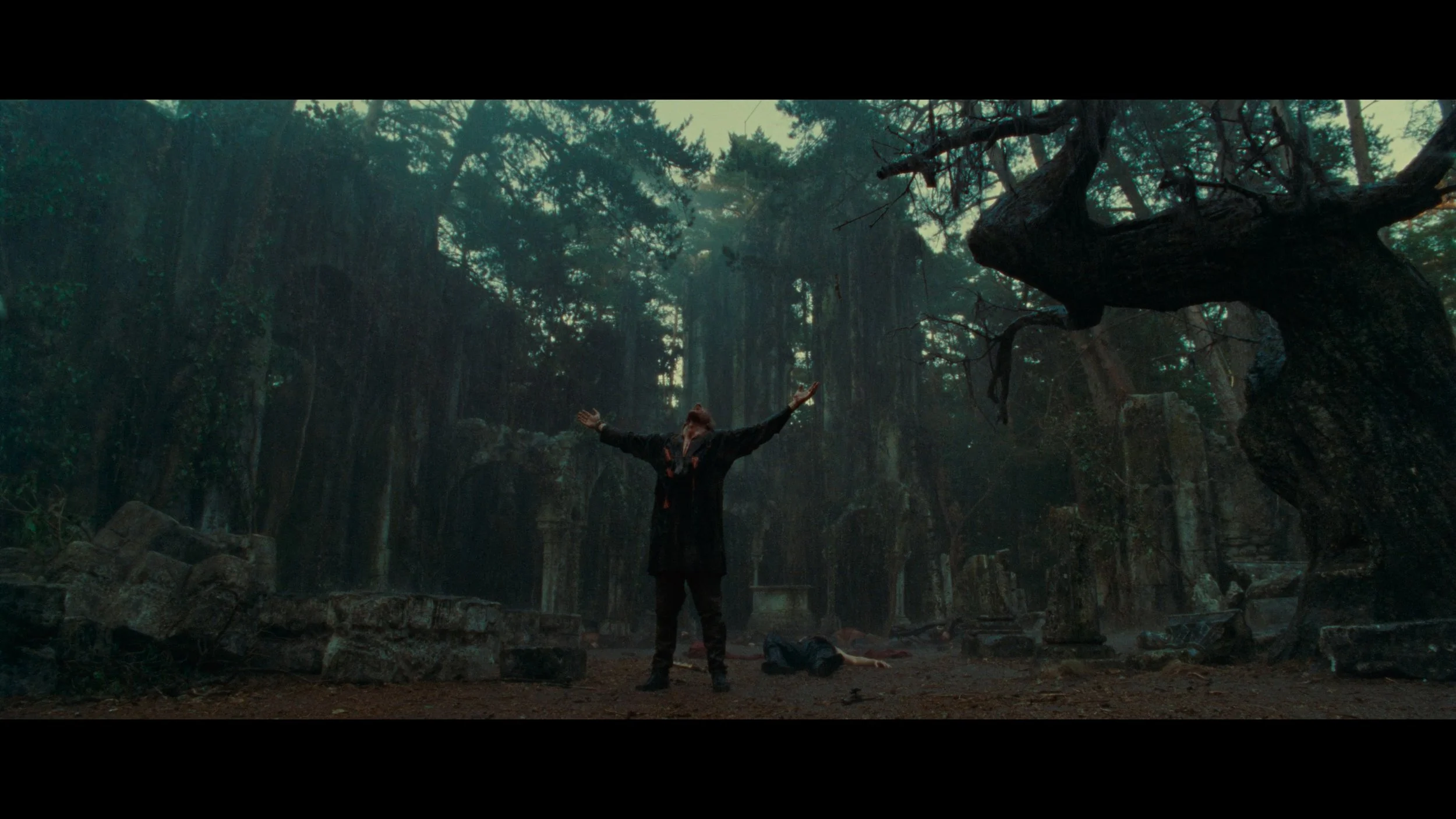 BROTHERHOOD OF THE WOLF_t00.mkv_20251206_205554.236.jpg