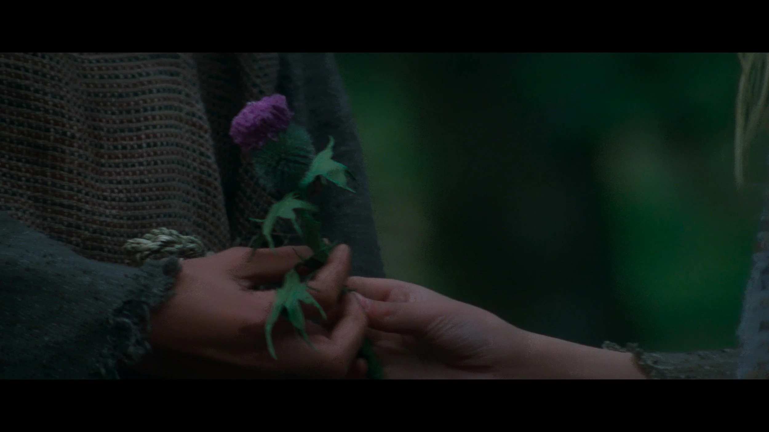 Braveheart_t00.mkv_20260517_152519.730.jpg