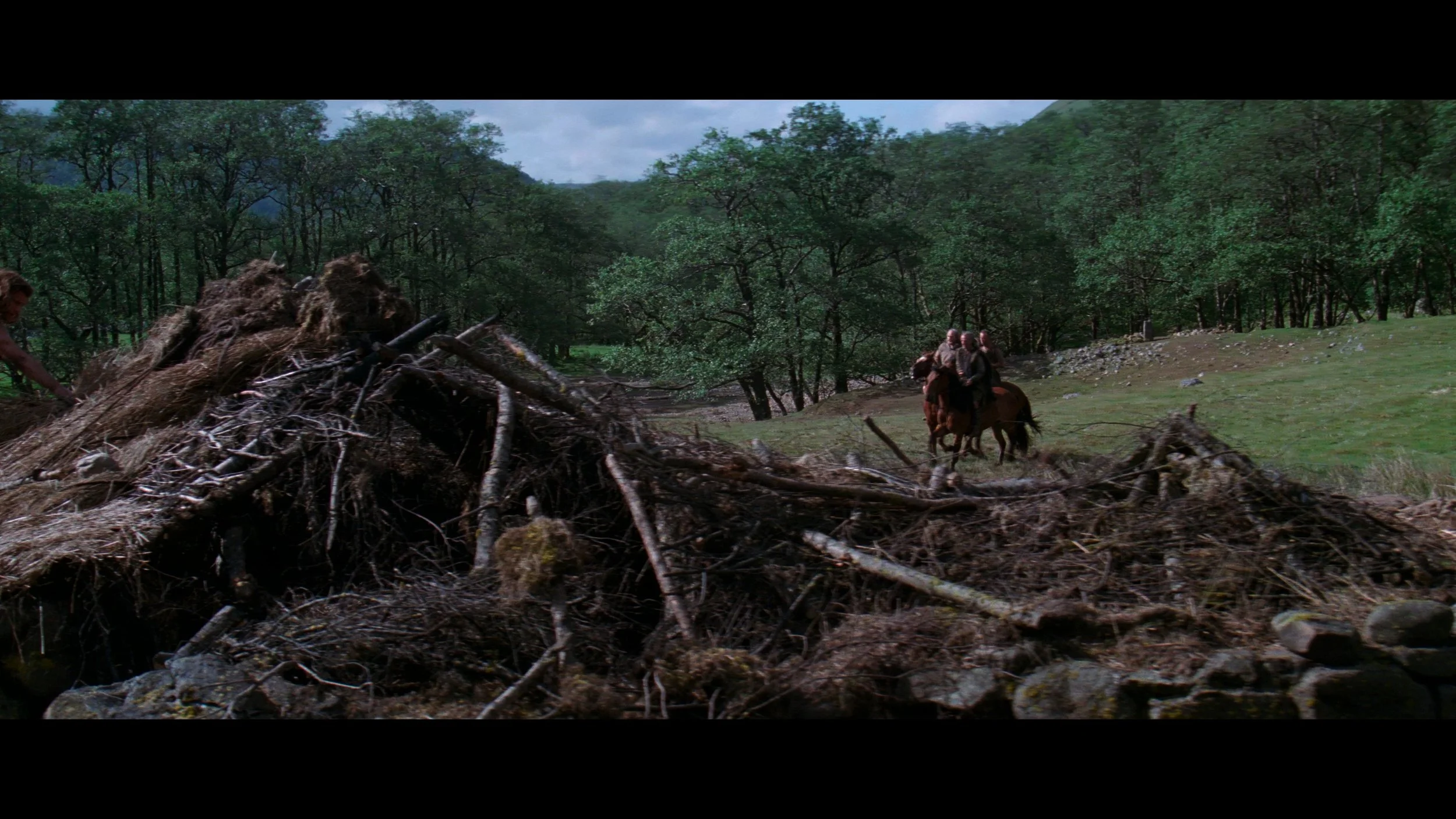 Braveheart_t00.mkv_20260517_152818.684.jpg