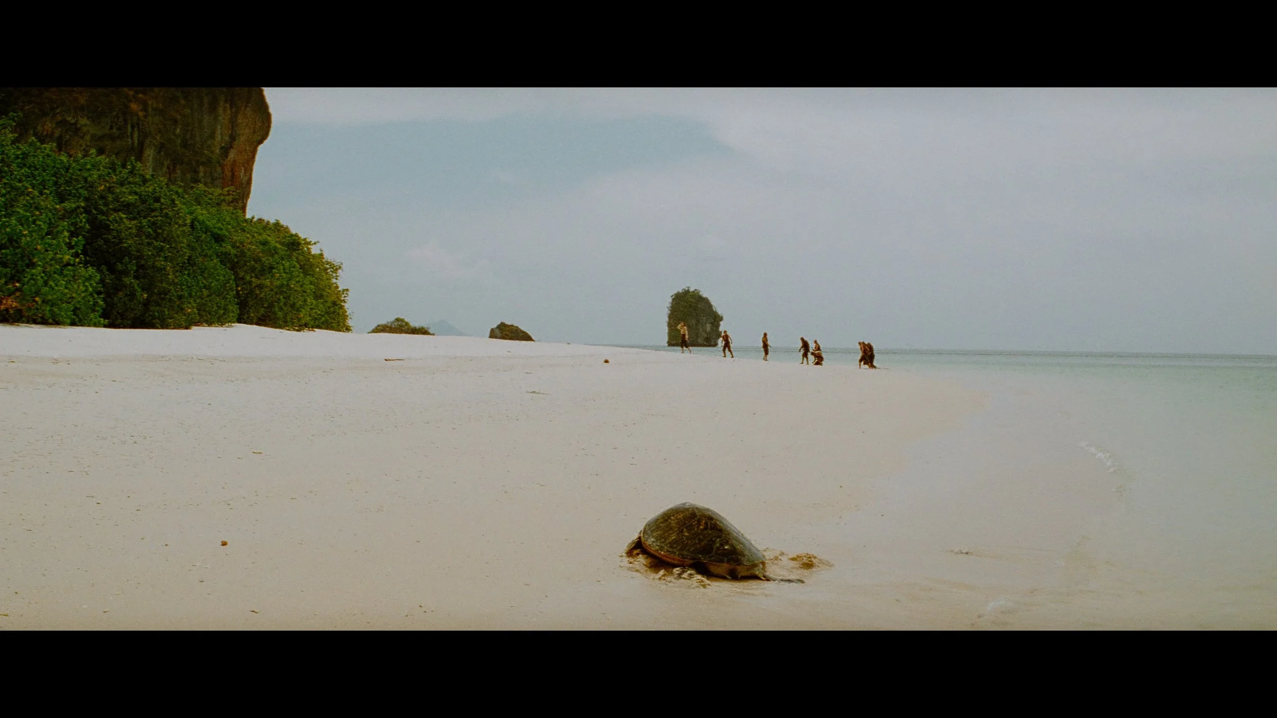 CUTTHROAT ISLAND_t00.mkv_20260427_134155.894.jpg