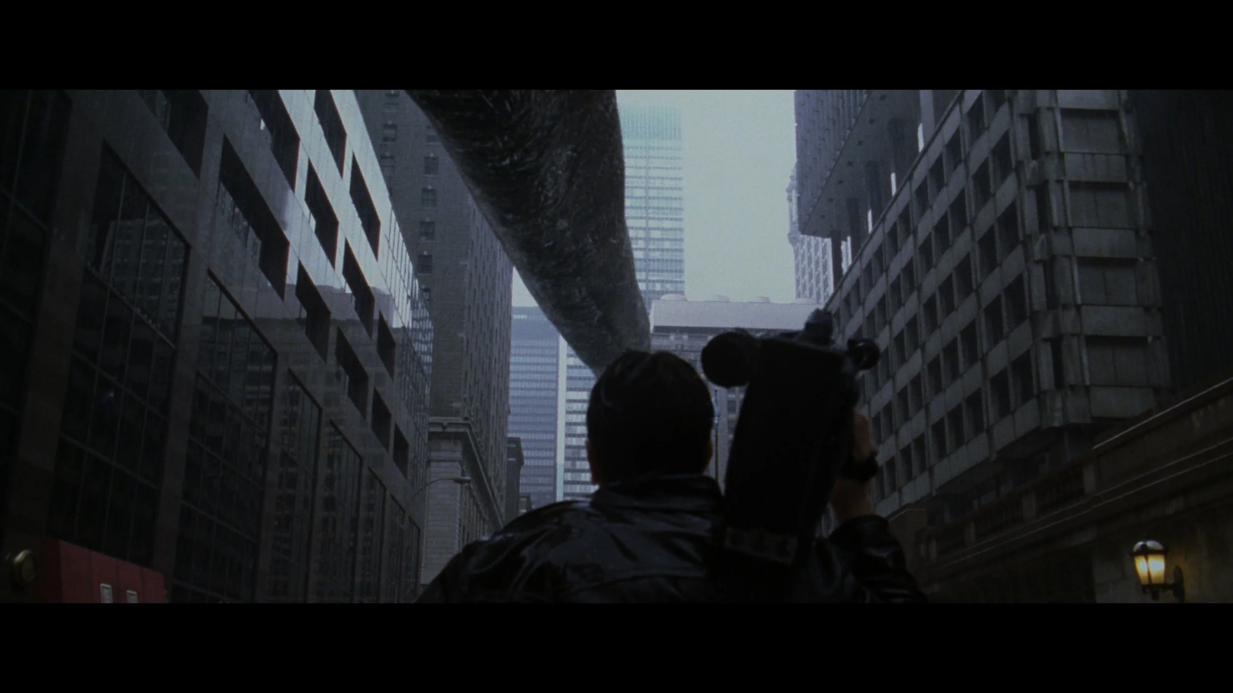 Godzilla (1998)_t00.mkv_20260515_122347.945.jpg