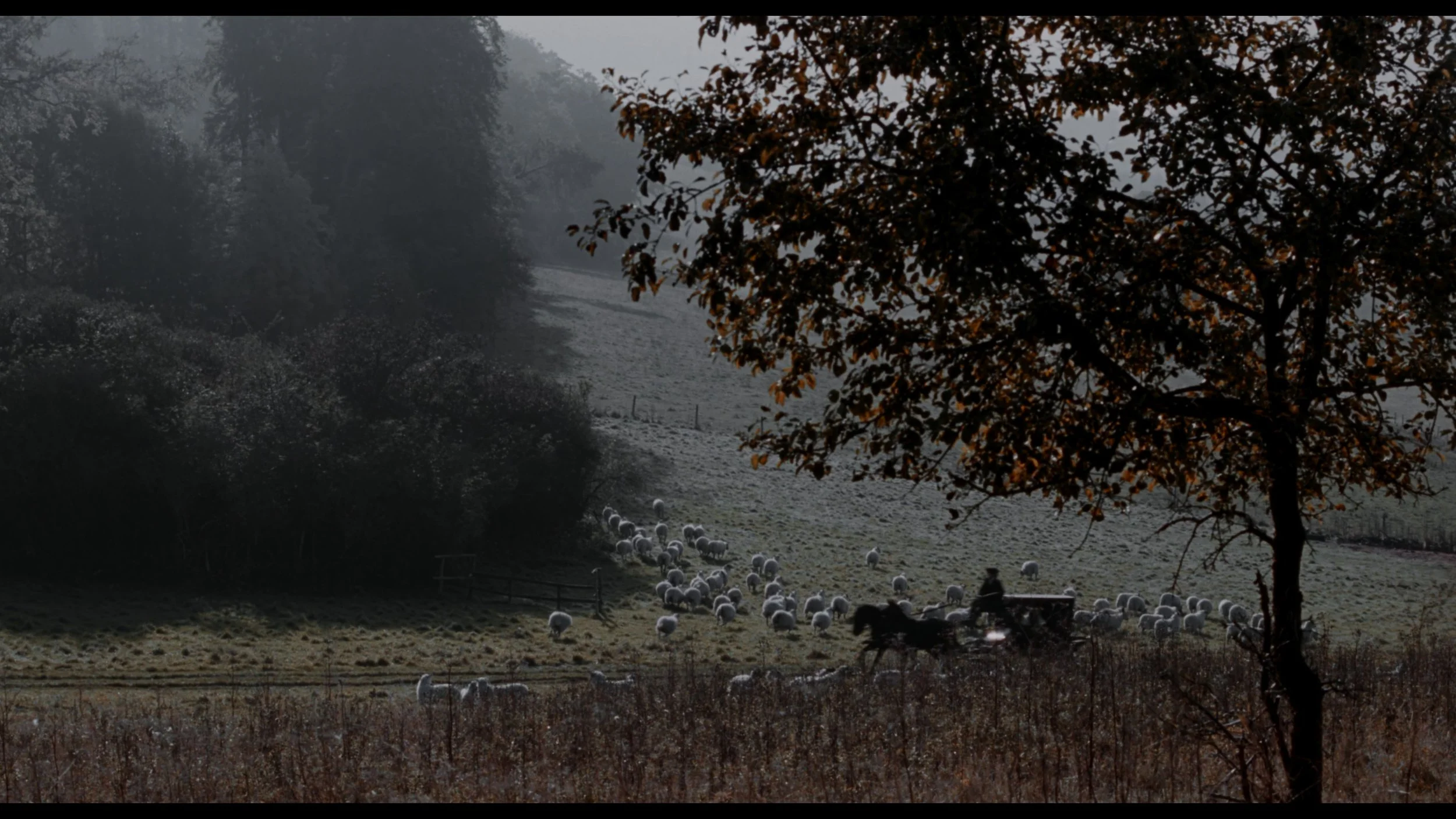 Sleepy Hollow (Remastered)_t00.mkv_20260513_221523.307.jpg