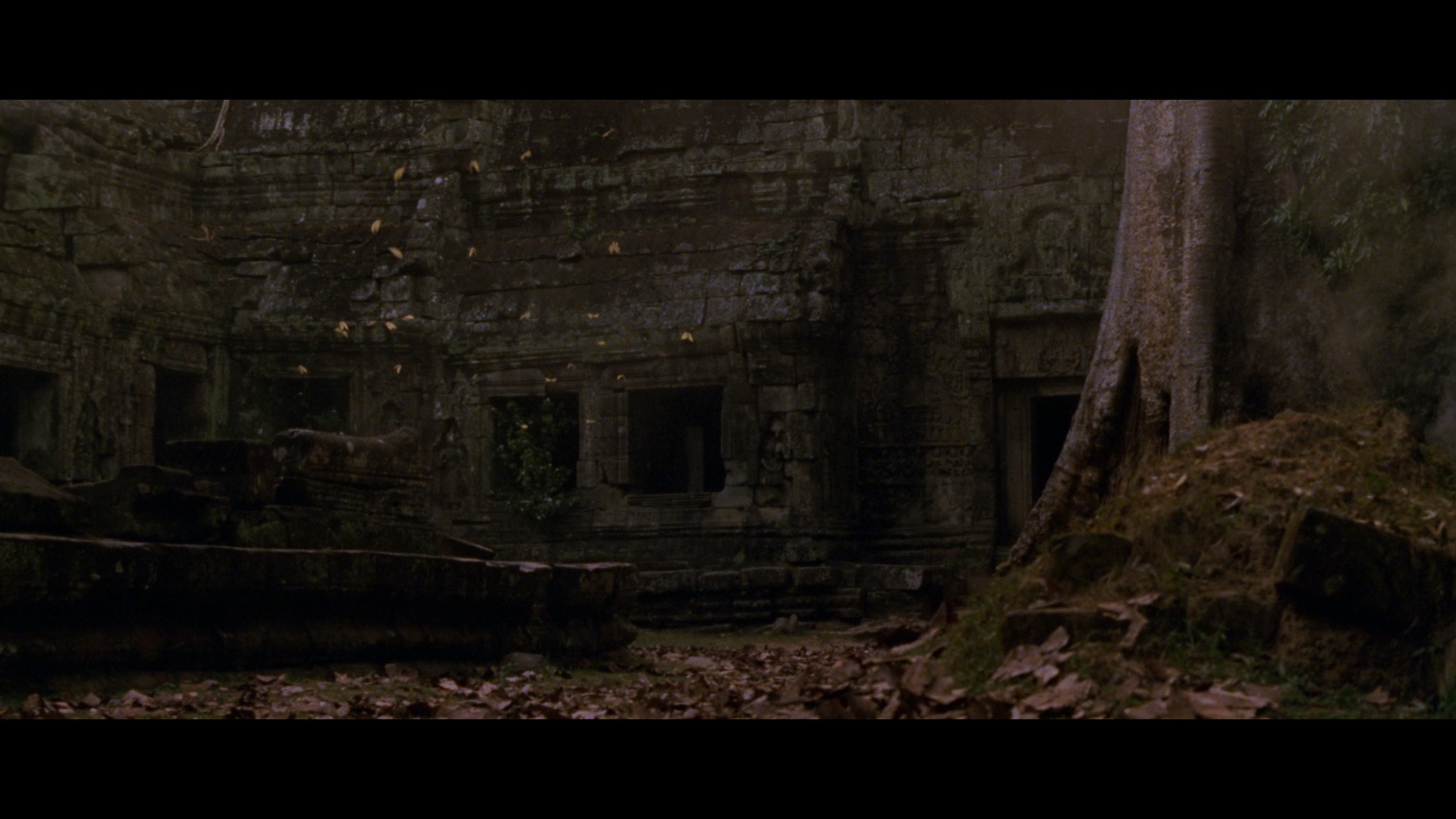 Lara Croft- Tomb Raider_t00.mkv_20260511_130830.709.jpg