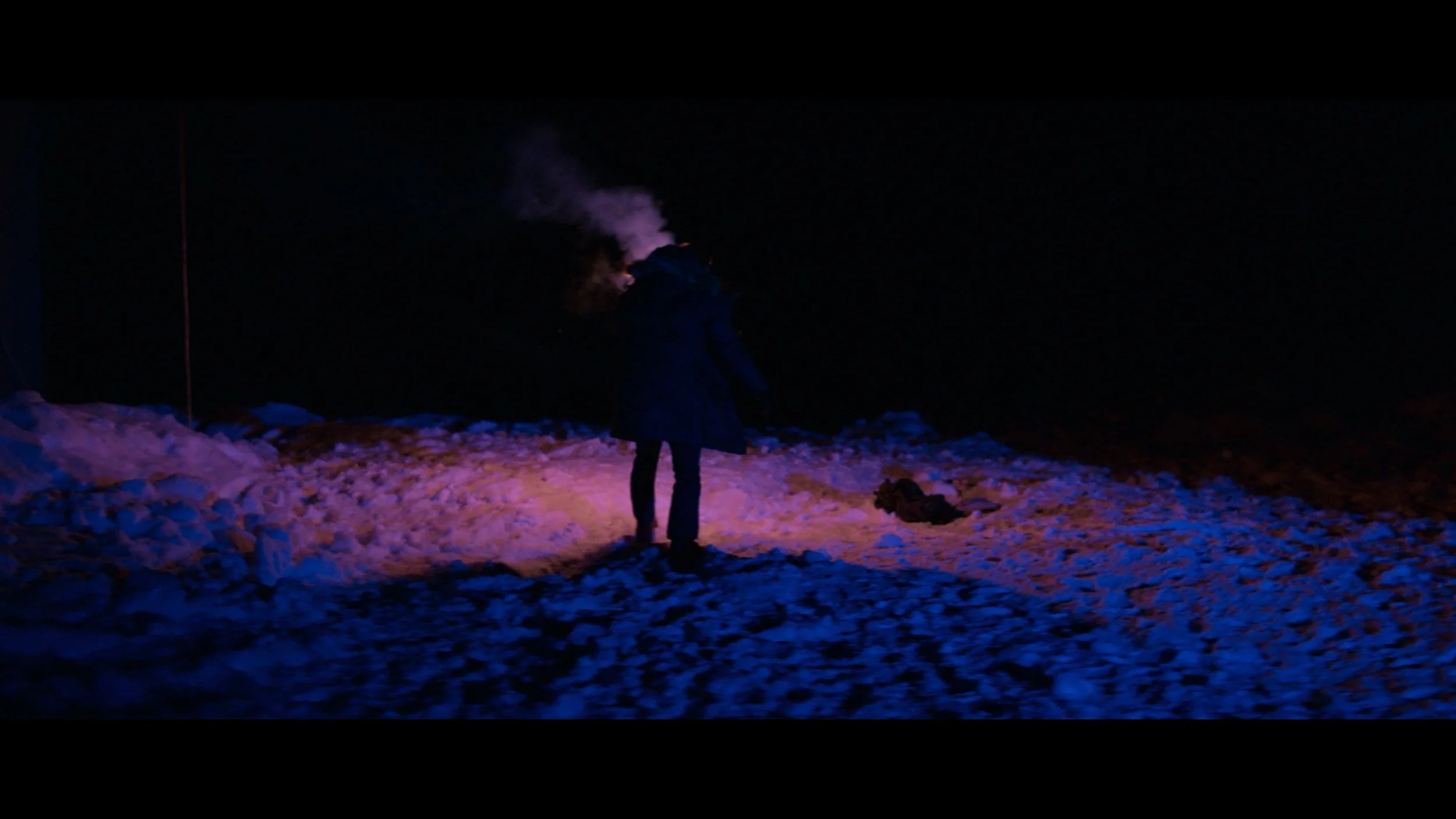 The Thing-SEG_MainFeature_t01.mkv_20260225_230920.898.jpg