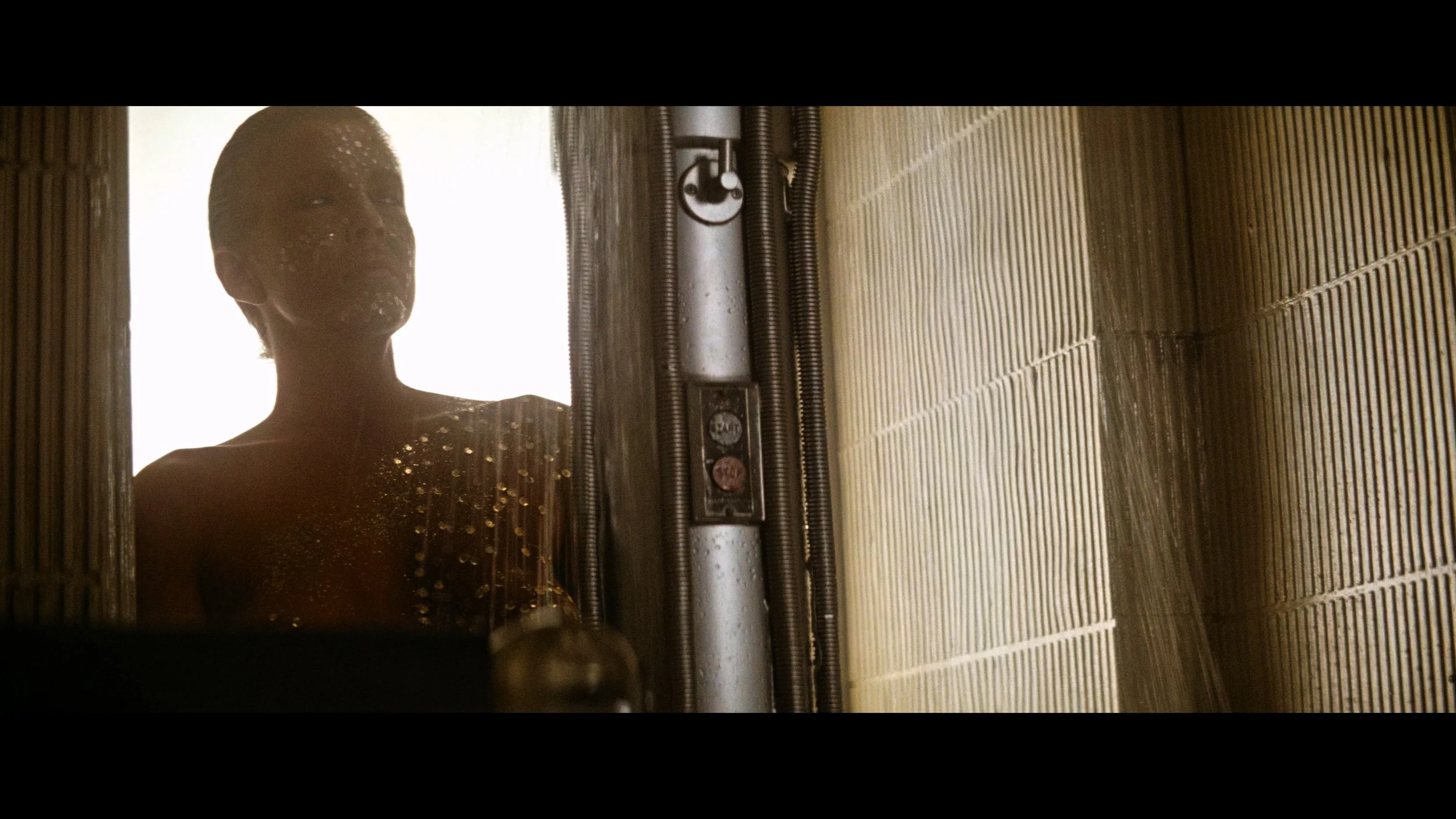 Blade Runner- The Final Cut_t00.mkv_20260514_210806.376.jpg