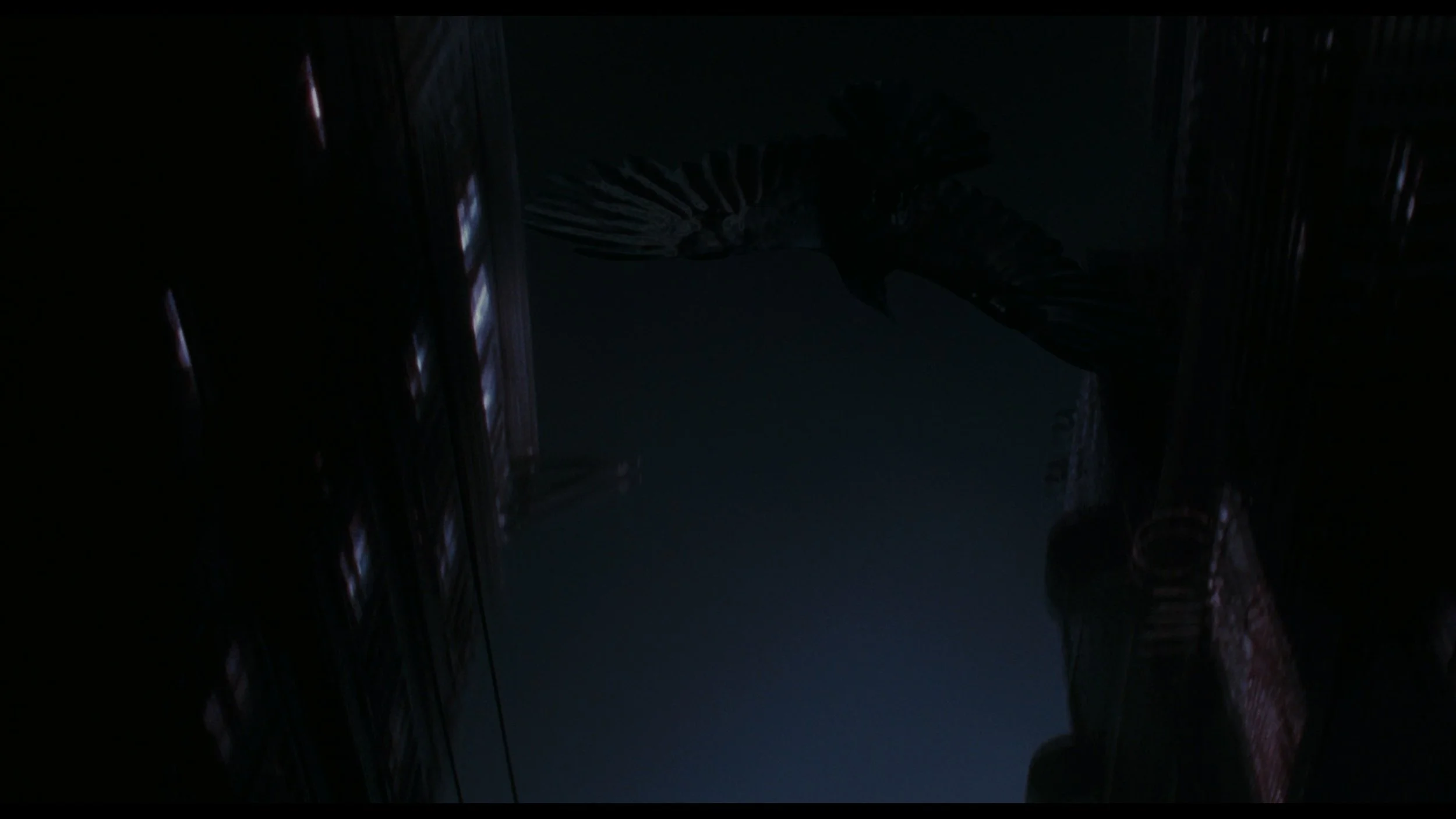 The Crow (Remastered)_t00.mkv_20260516_004955.068.jpg