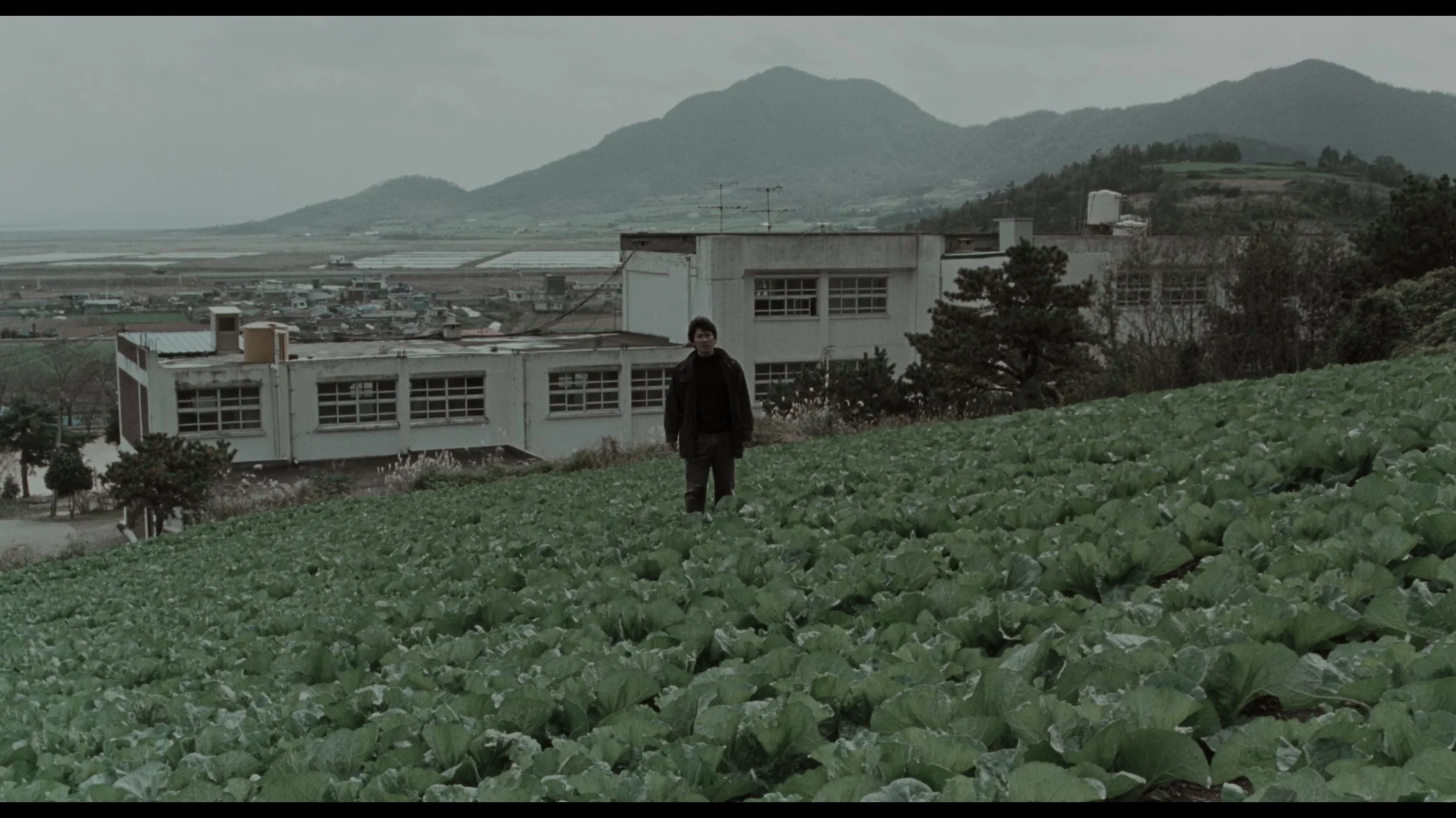Memories Of Murder_t00.mkv_20260419_122934.983.jpg