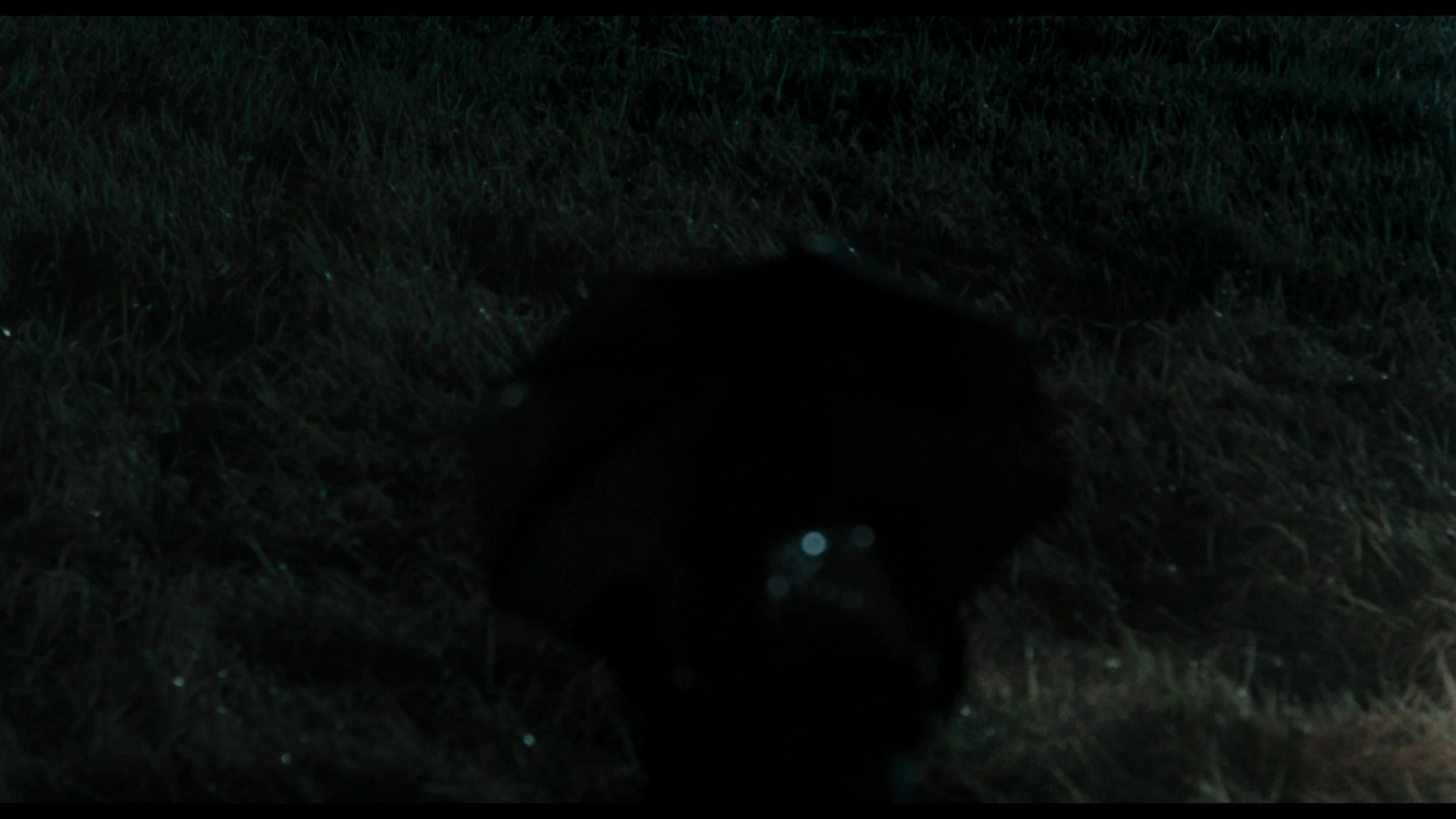 Memories Of Murder_t00.mkv_20260419_122613.027.jpg