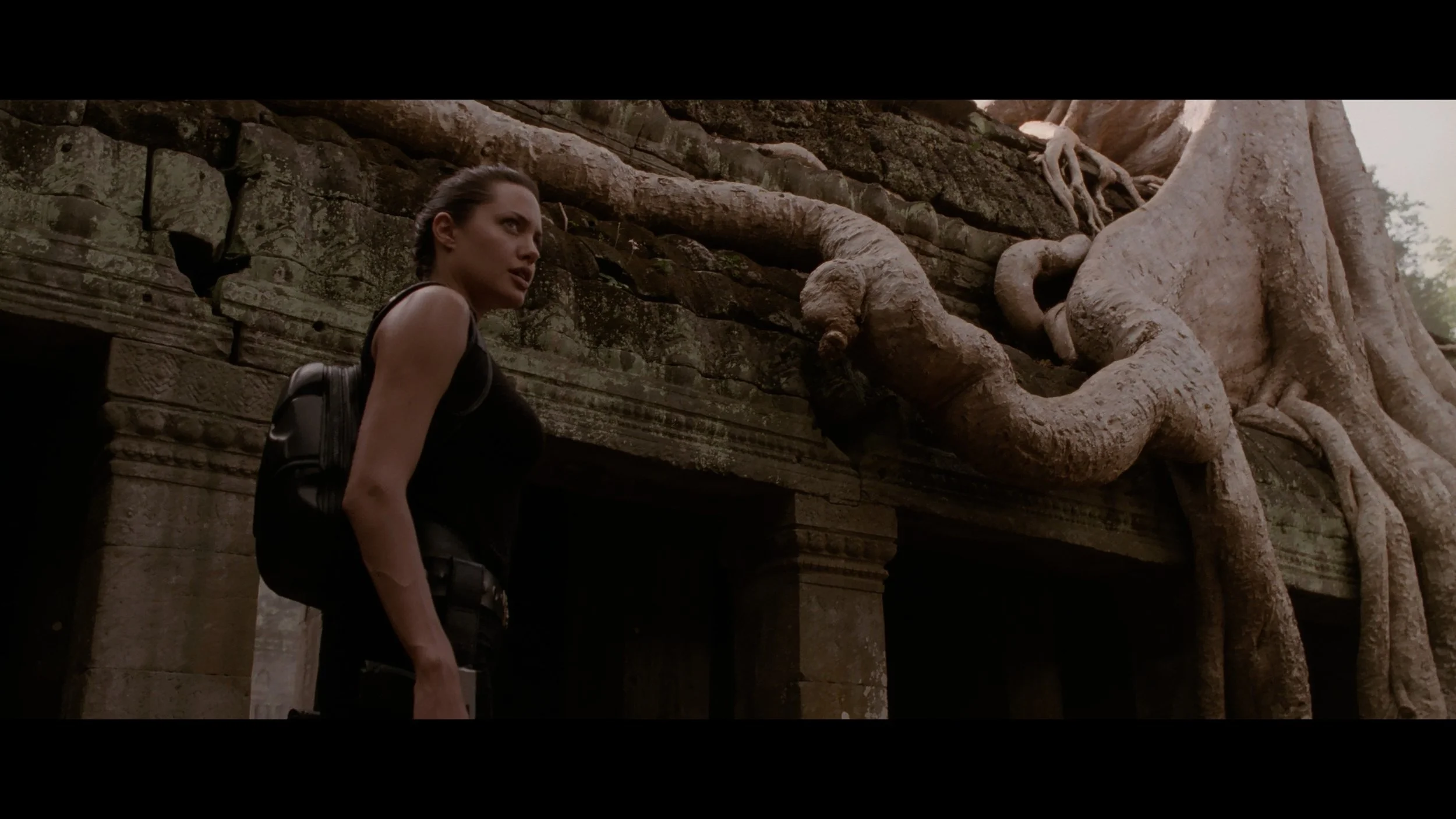 Lara Croft- Tomb Raider_t00.mkv_20260511_130854.252.jpg