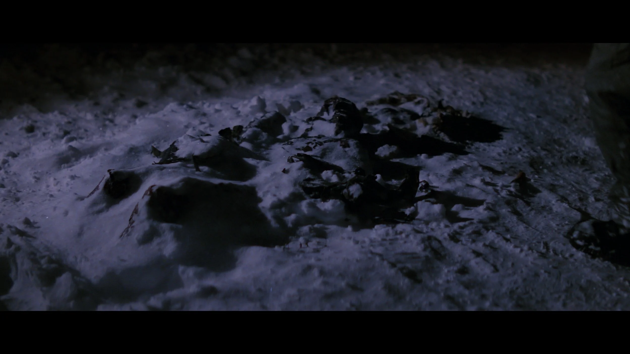 The Thing-SEG_MainFeature_t01.mkv_20260225_230935.574.jpg