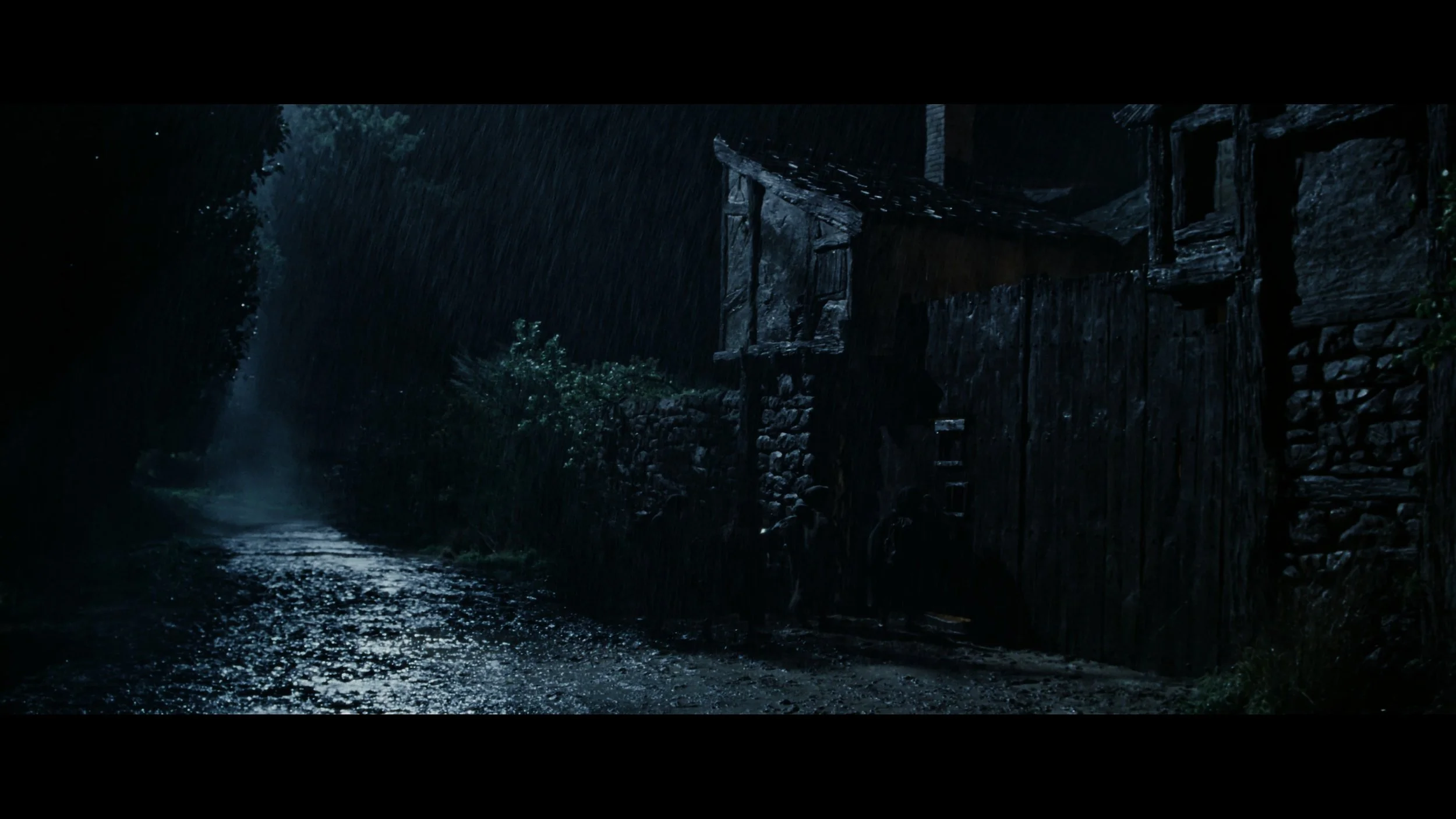 The Lord of the Rings- The Fellowship of the Ring (EXT.) PT. 1_t05.mkv_20251212_203143.340.jpg