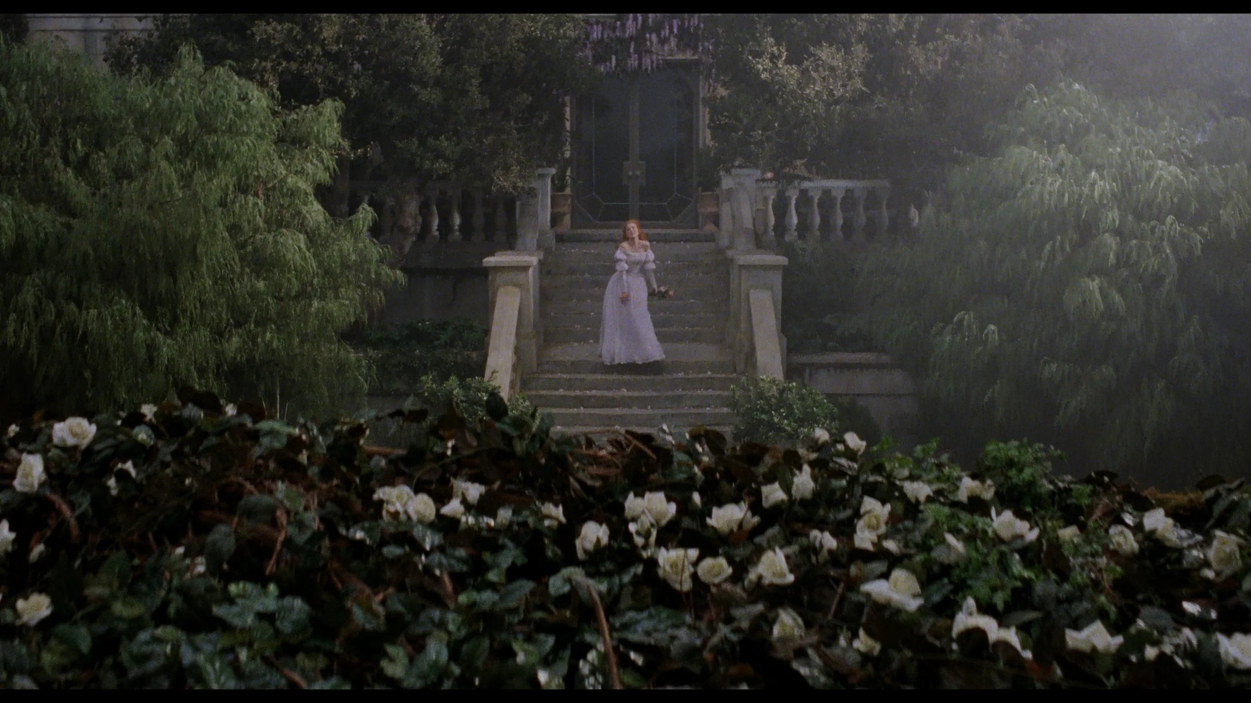 Bram Stoker's Dracula_t01.mkv_20260515_142305.574.jpg