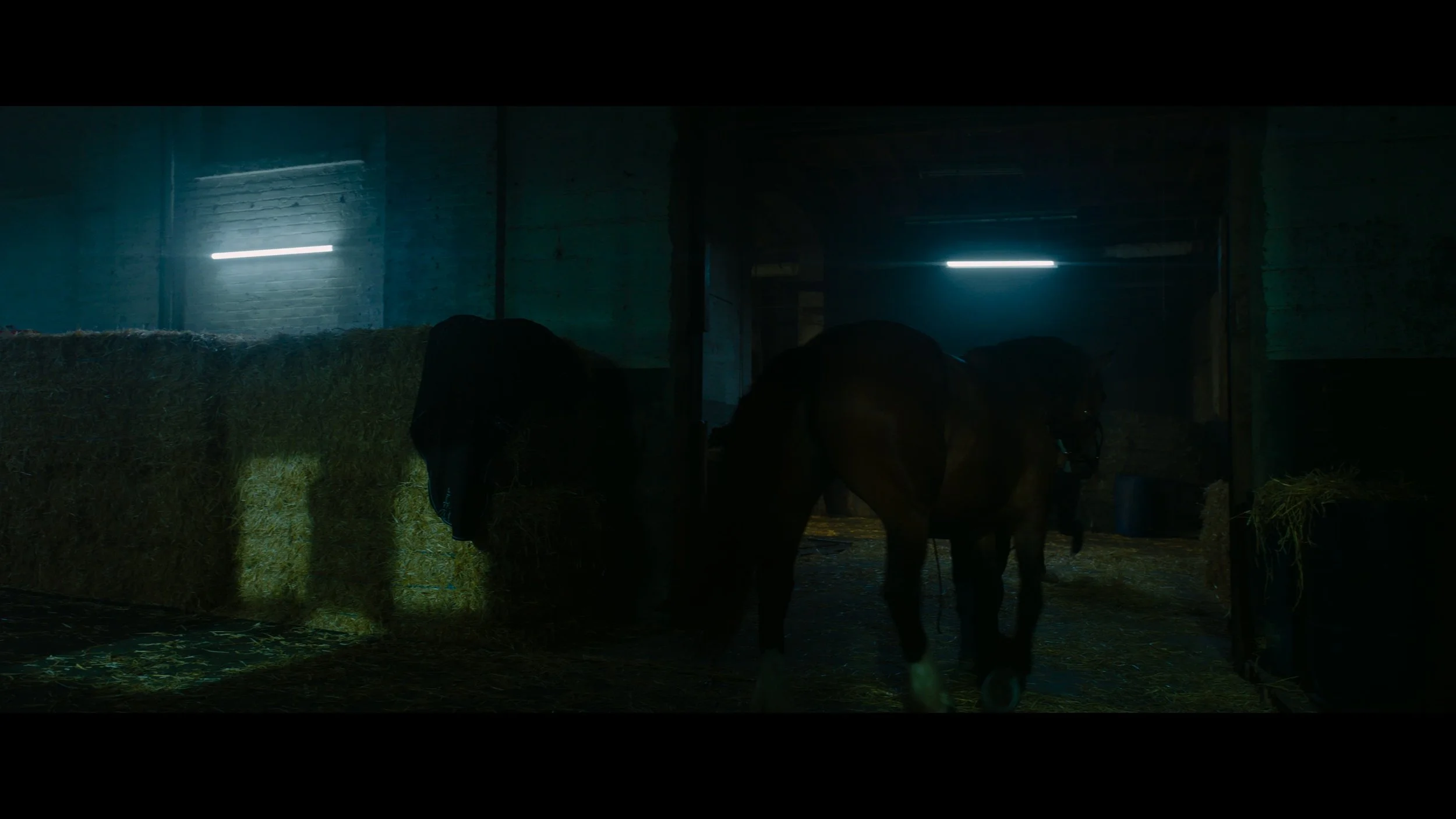 John Wick 3- Parabellum_t00.mkv_20260523_001807.254.jpg
