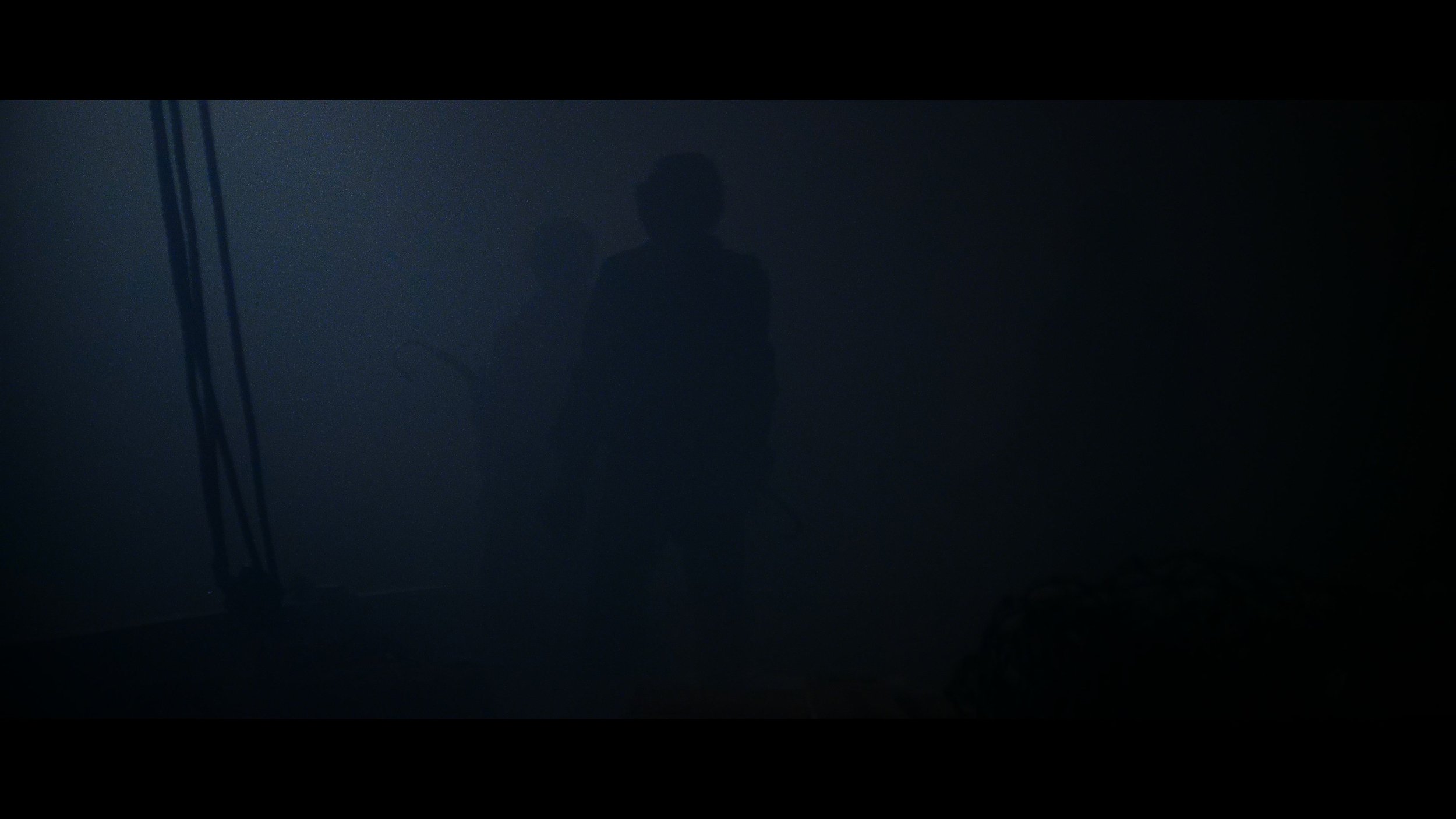 The Fog_t02.mkv_20260528_120010.687.jpg