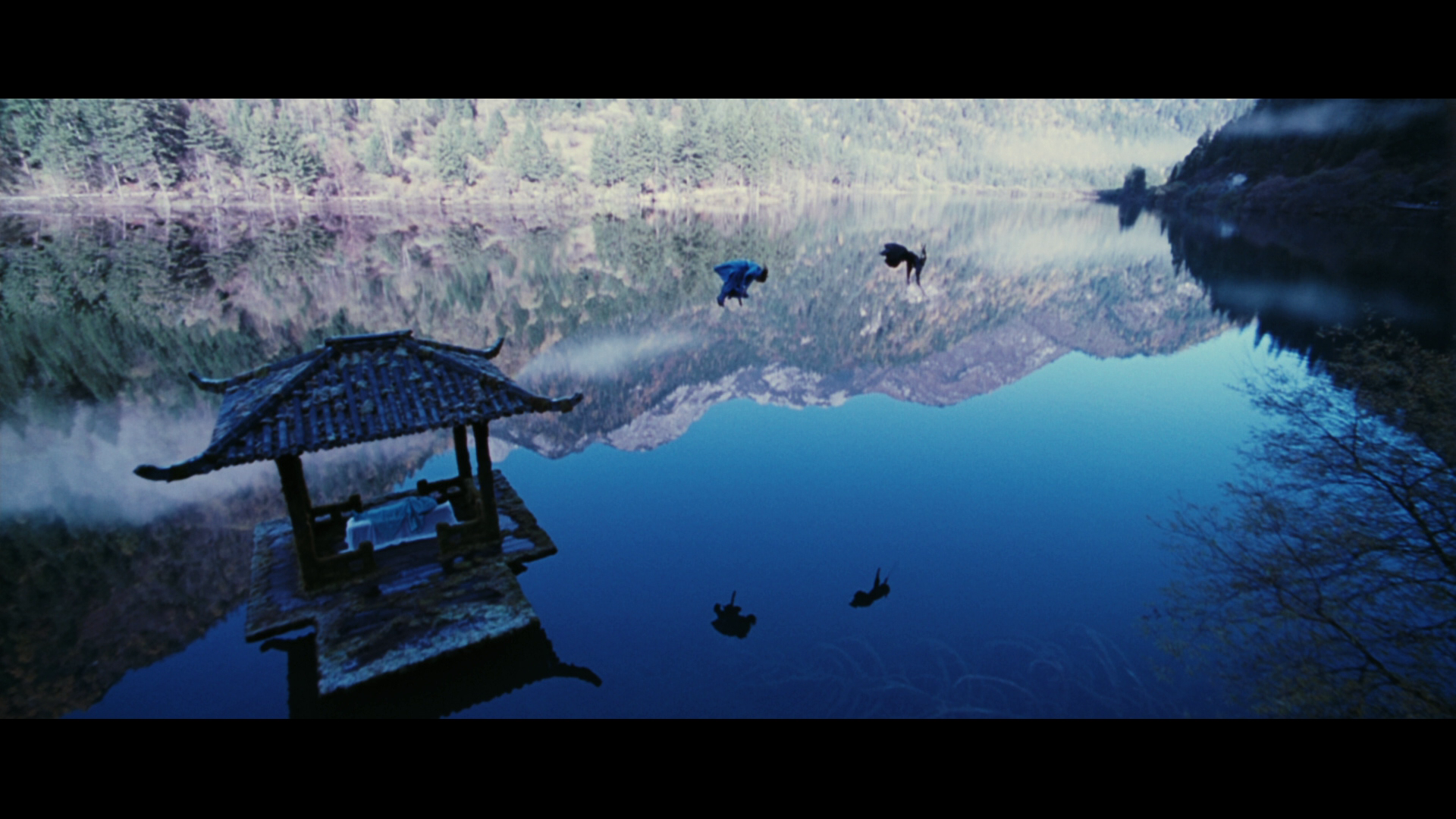 vlcsnap-2024-07-13-19h15m04s122.png