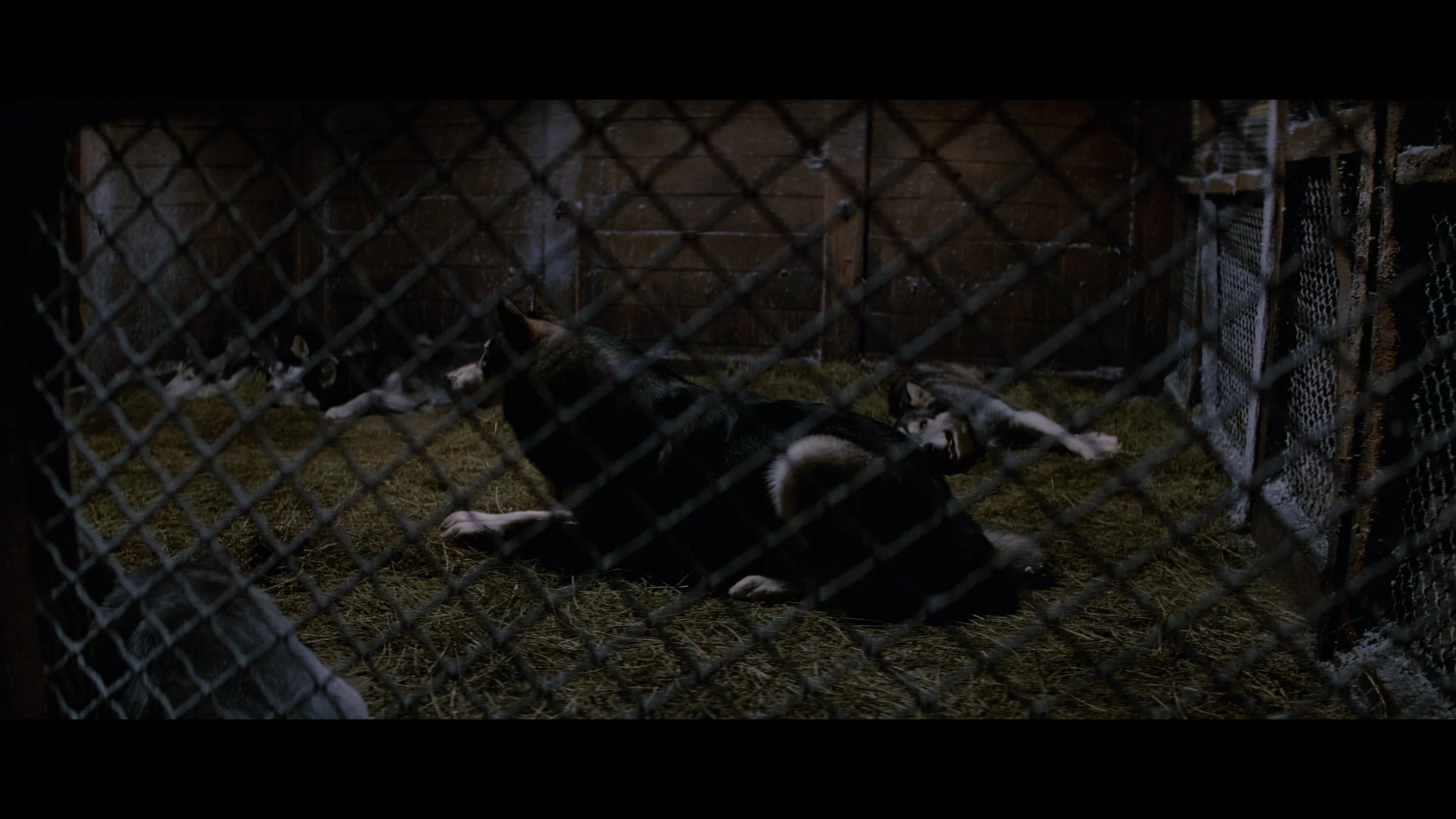 The Thing-SEG_MainFeature_t01.mkv_20260225_230448.382.jpg