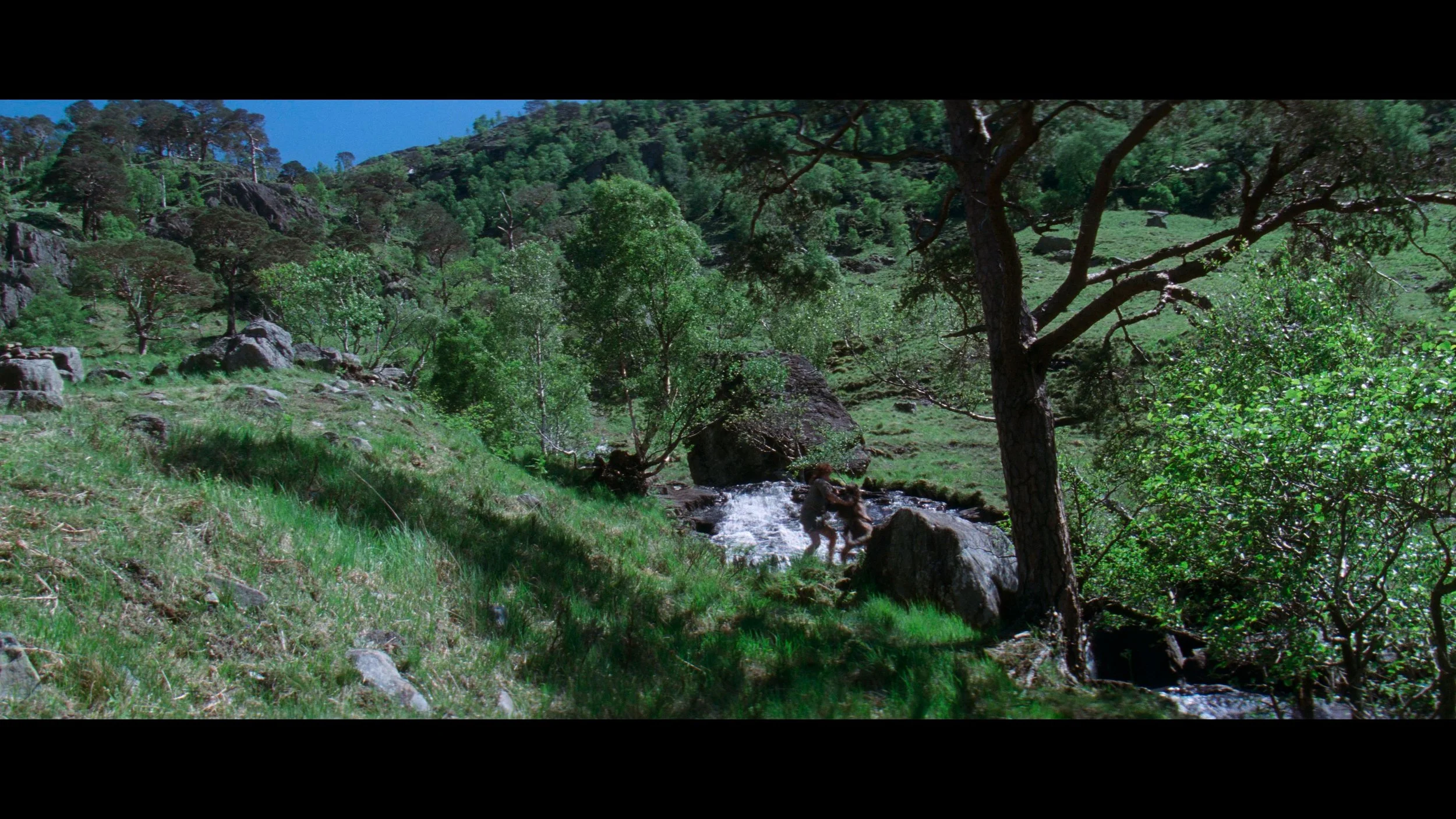 Braveheart_t00.mkv_20260517_152423.255.jpg