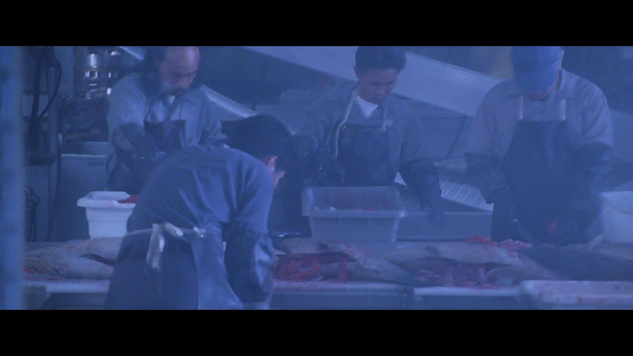 Godzilla (1998)_t00.mkv_20260515_121312.261.jpg