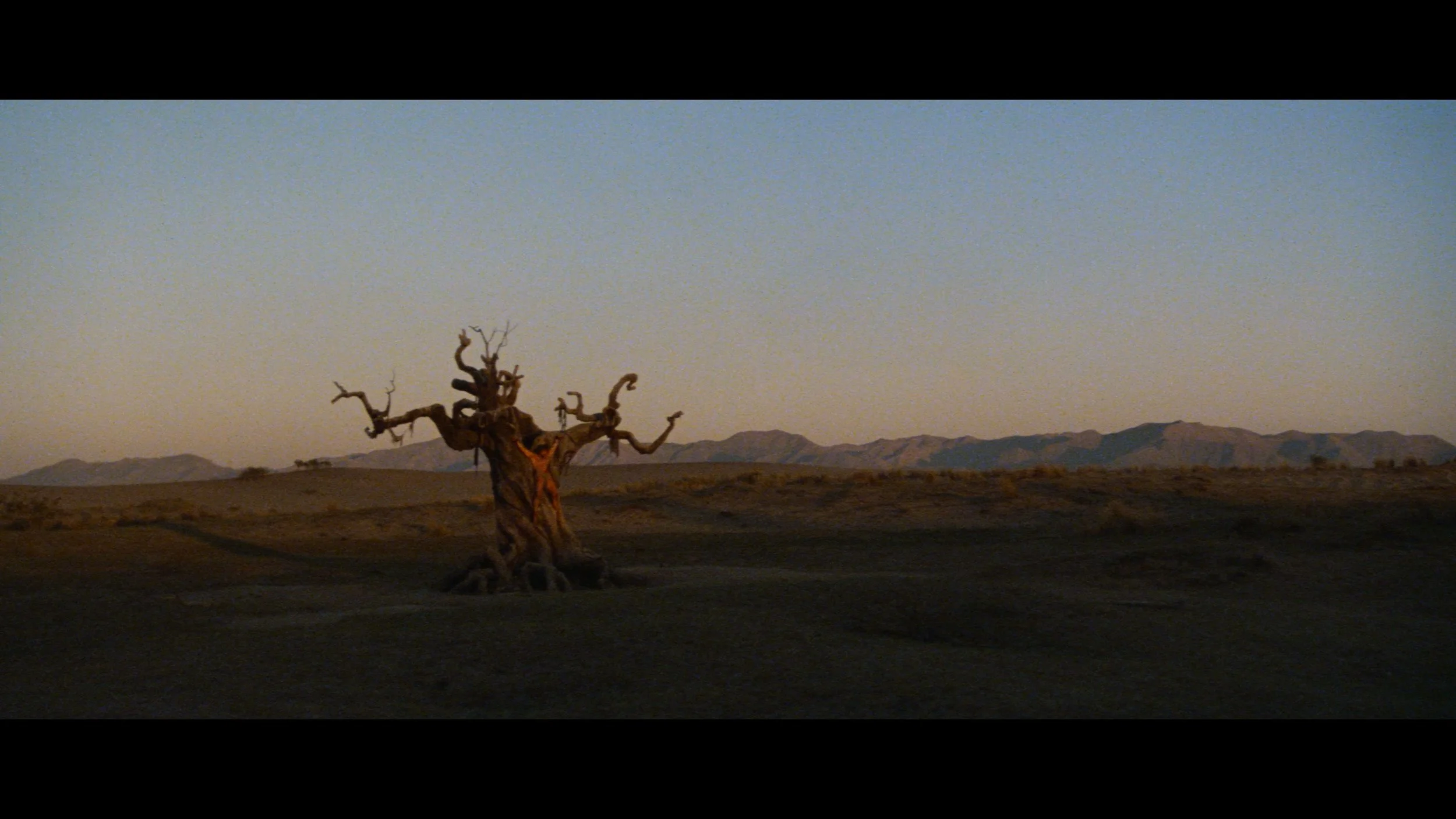 CONAN THE BARBARIAN - 4K UHD_t06.mkv_20260407_221152.427.jpg