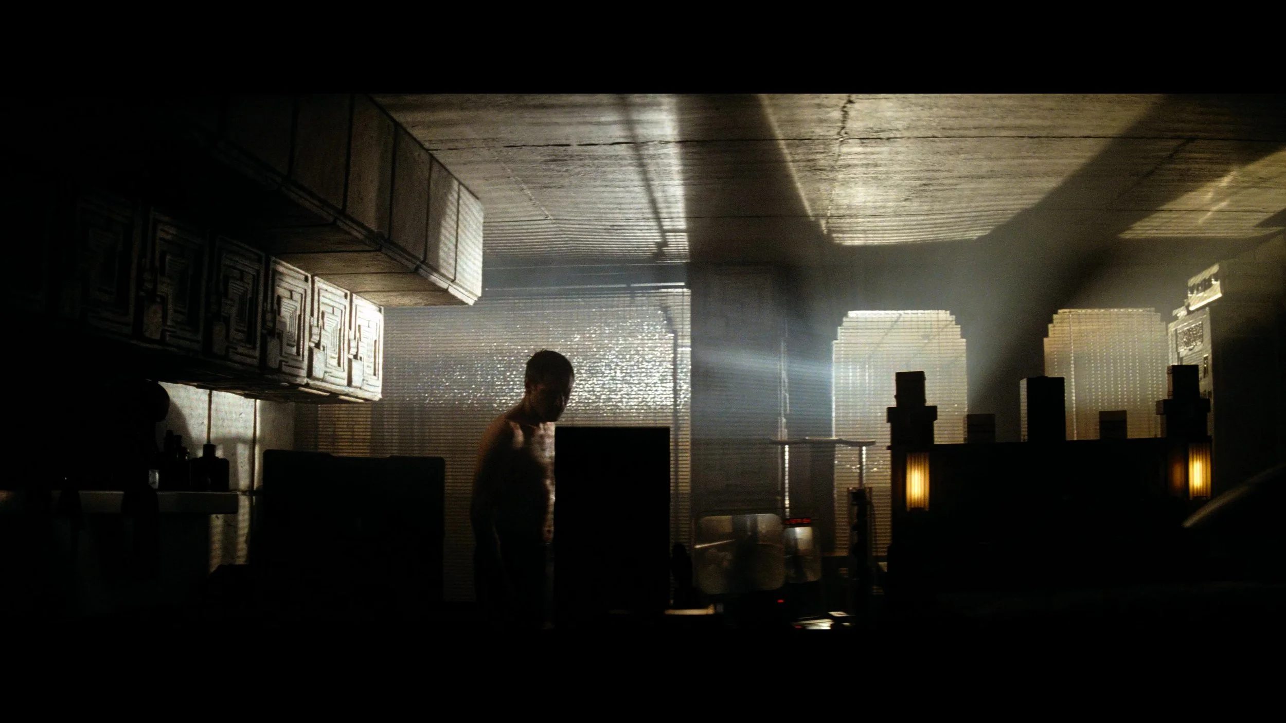 Blade Runner- The Final Cut_t00.mkv_20260514_211008.501.jpg
