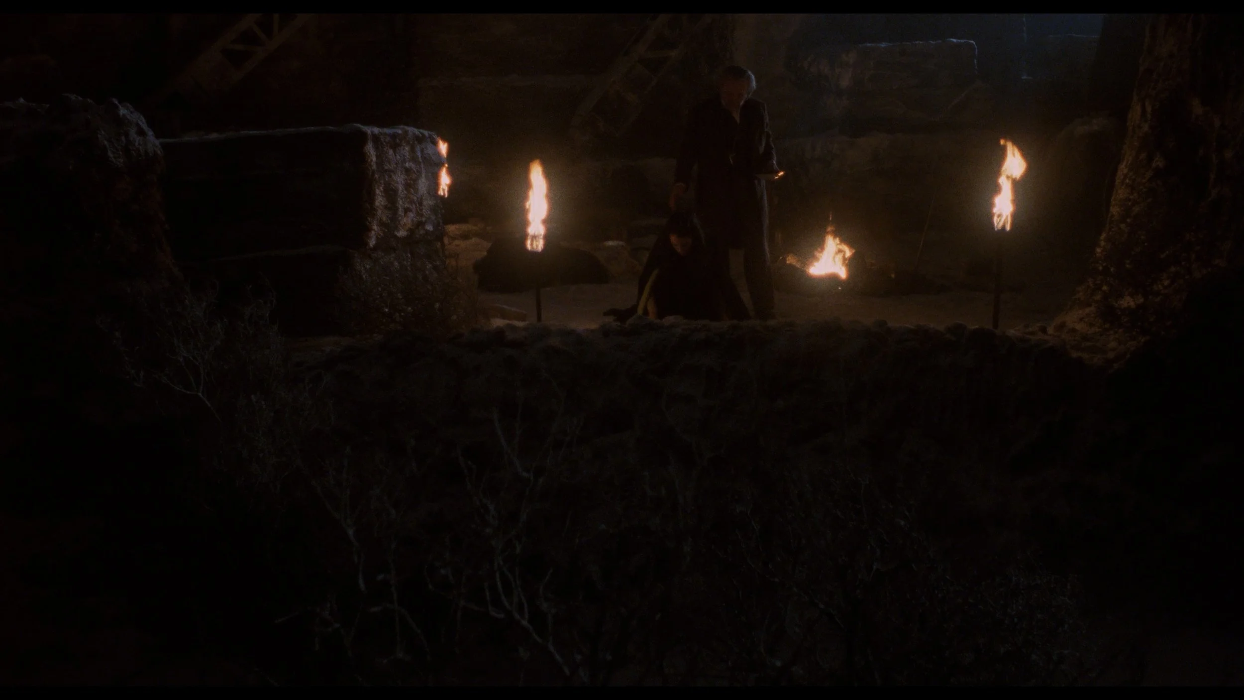 Bram Stoker's Dracula_t01.mkv_20260515_143523.091.jpg