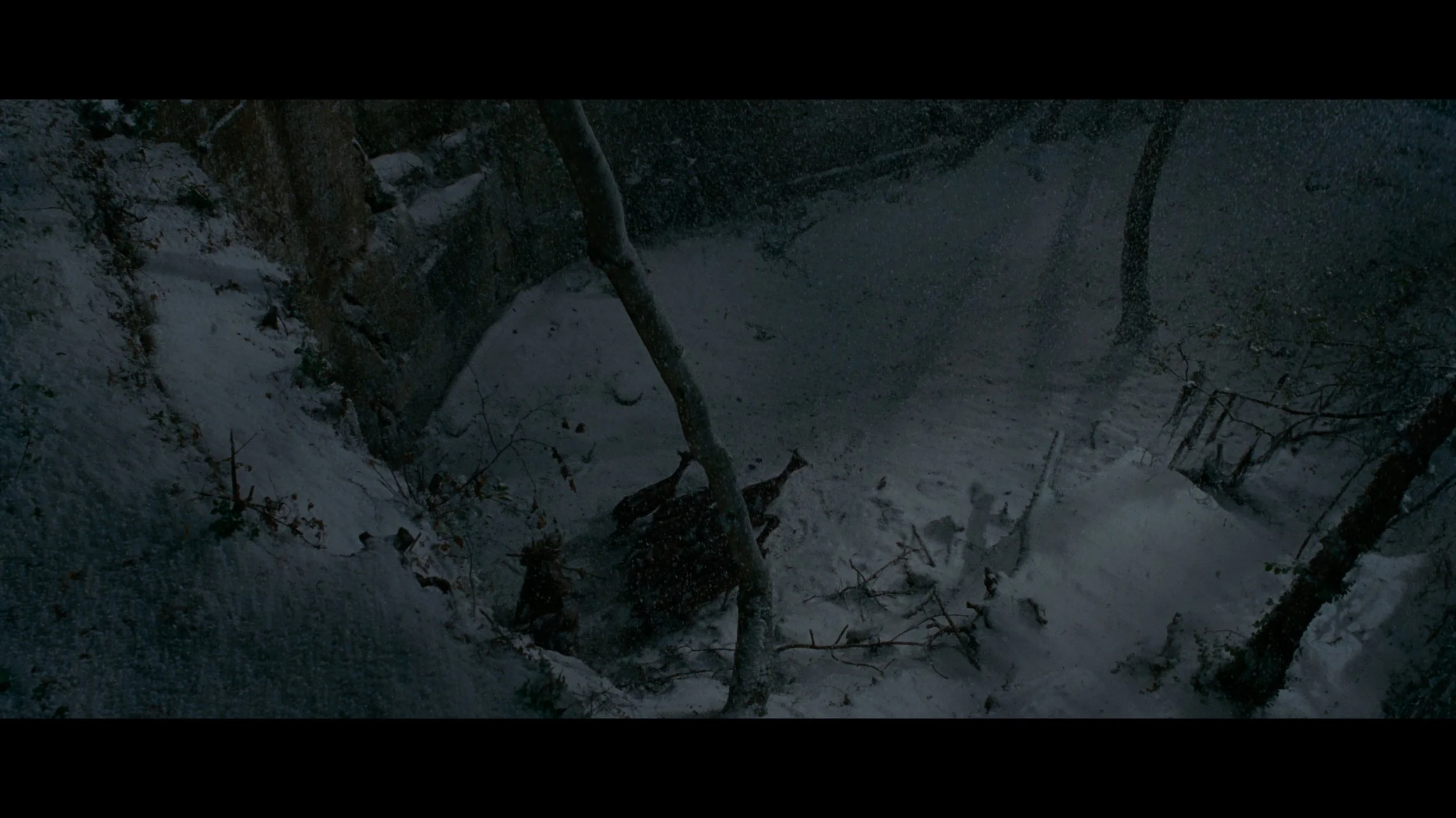 BROTHERHOOD OF THE WOLF_t00.mkv_20251206_202947.215.jpg