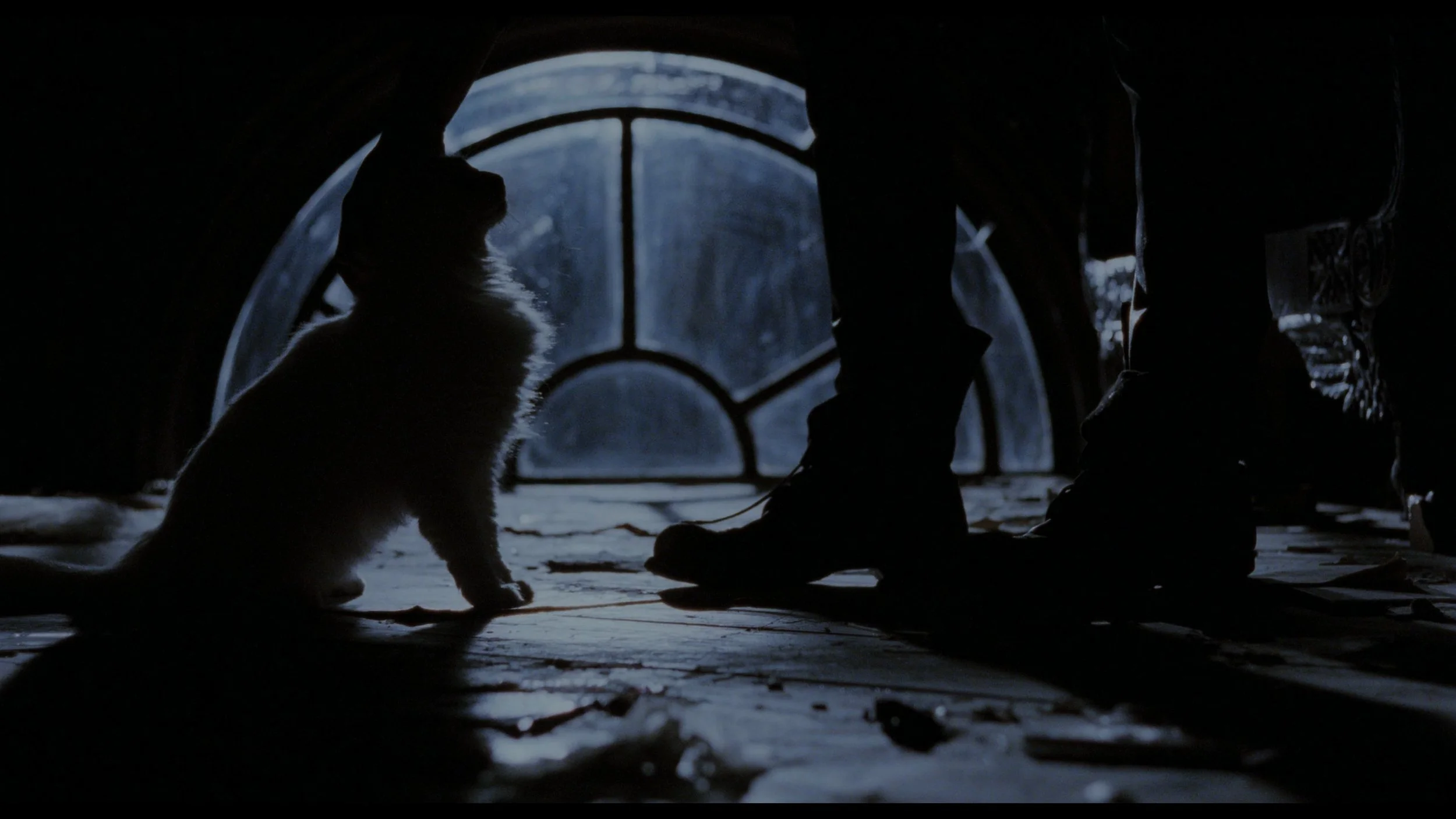 The Crow (Remastered)_t00.mkv_20260516_004202.780.jpg