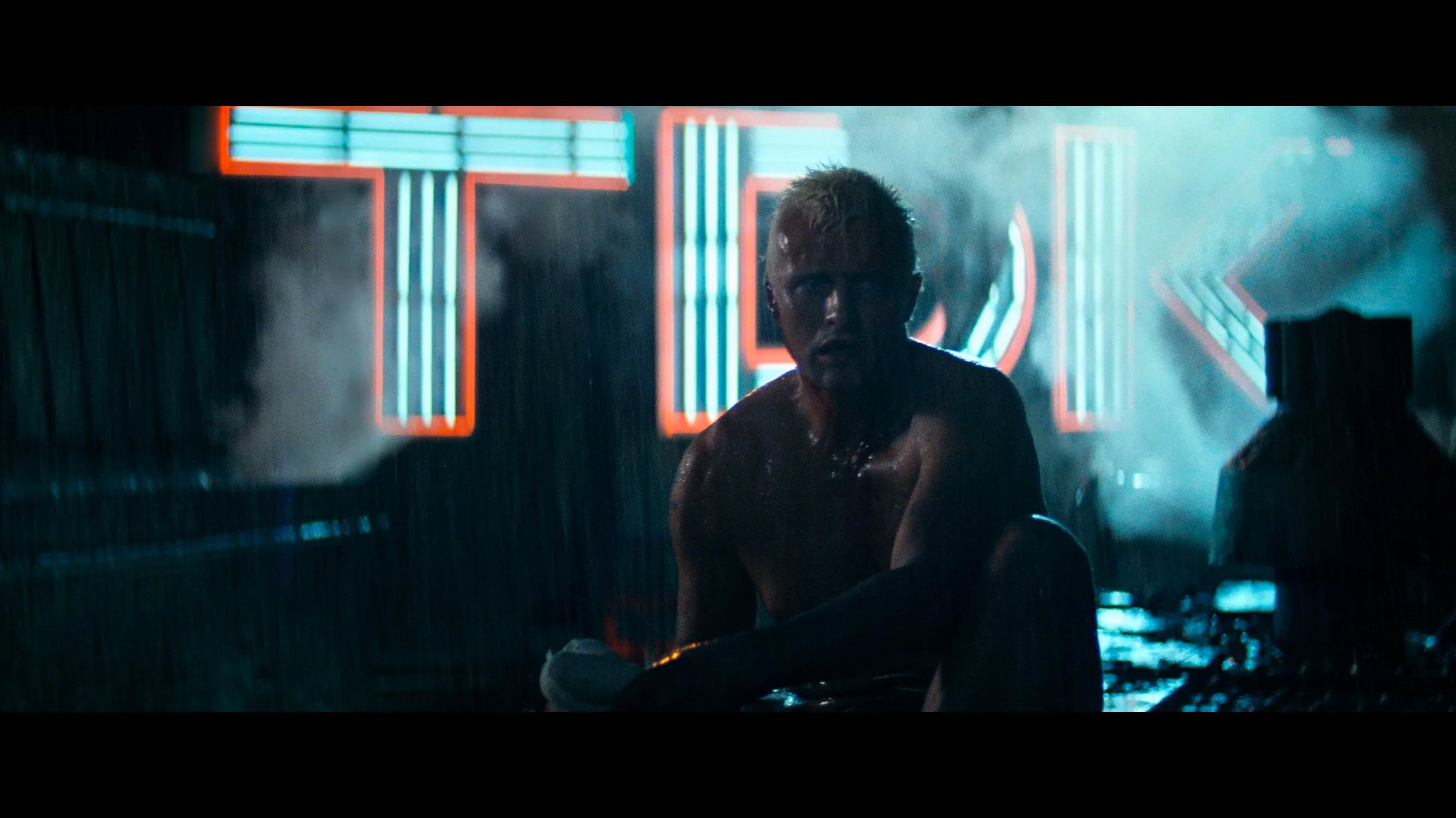 Blade Runner- The Final Cut_t00.mkv_20260514_211544.462.jpg