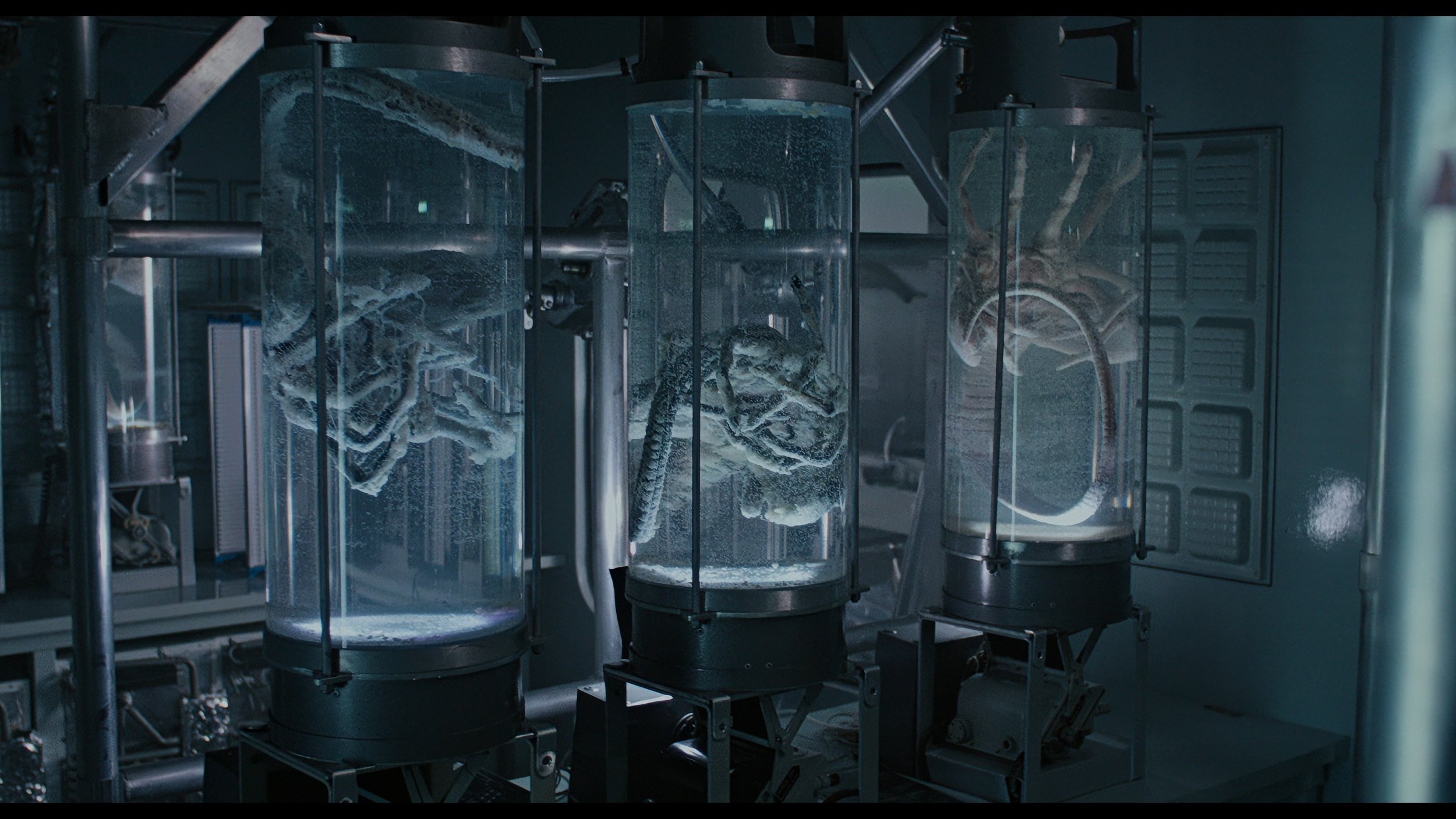 ALIENS_t01.mkv_20260531_100929.653.jpg