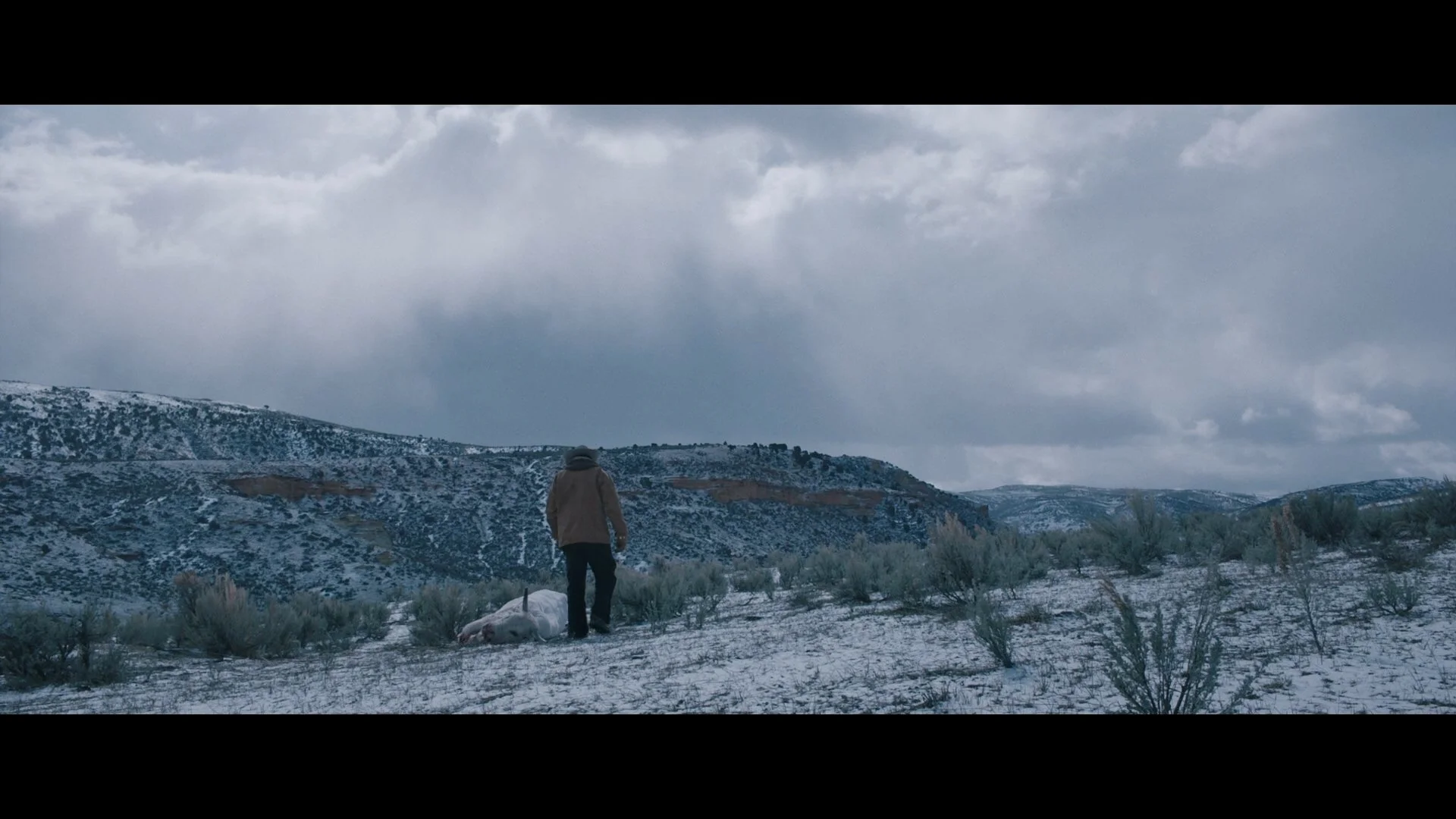 Wind River_t00.mkv_20260802_181658.859.jpg