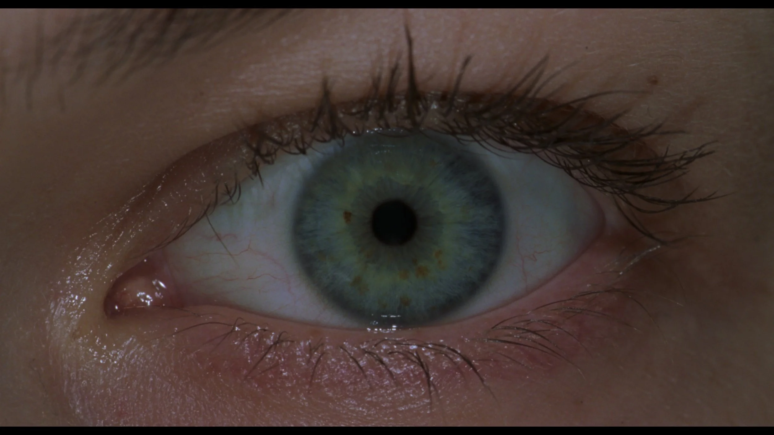  2000s, Paul WS Anderson 