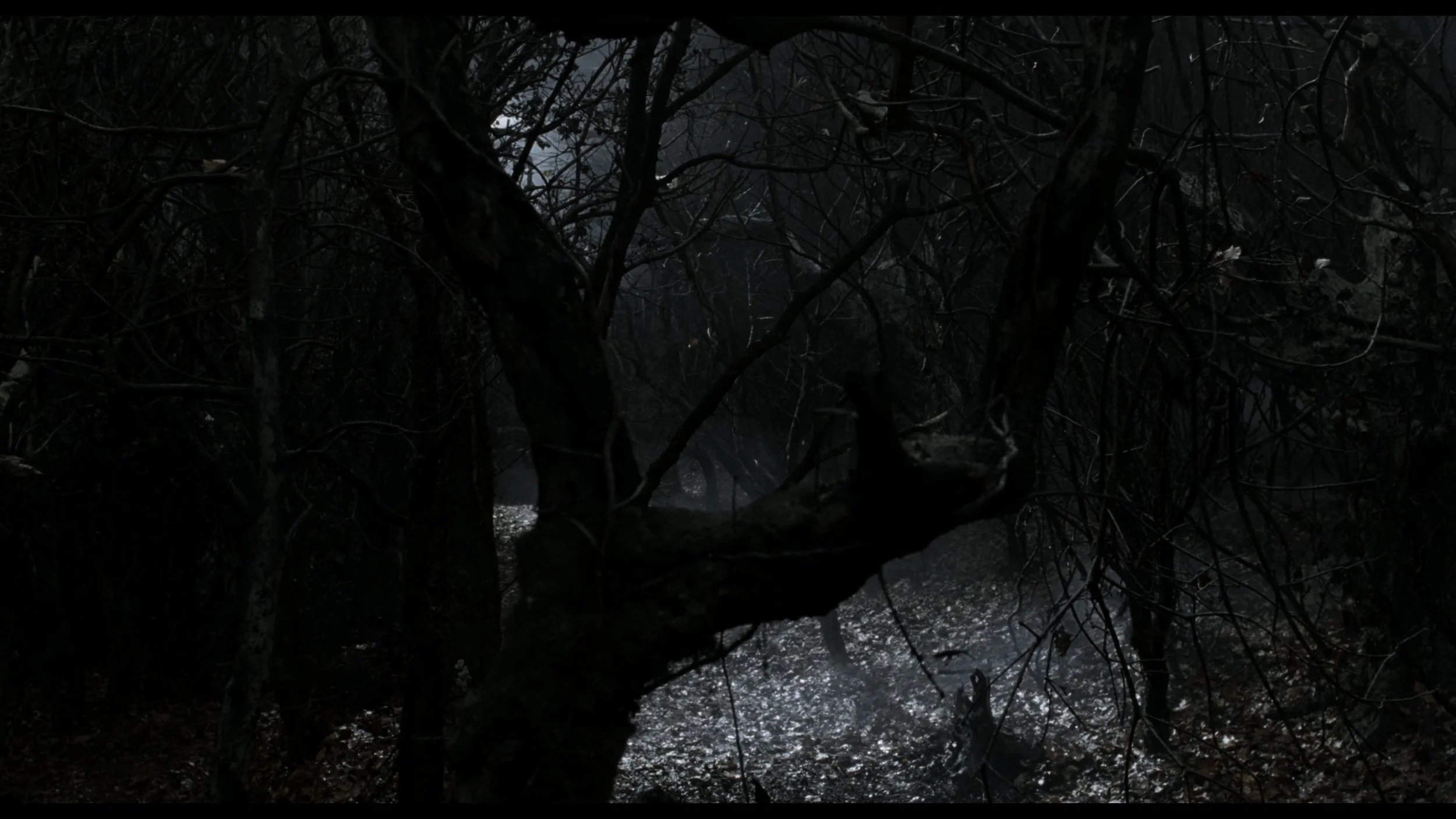 Sleepy Hollow (Remastered)_t00.mkv_20260513_220055.931.jpg