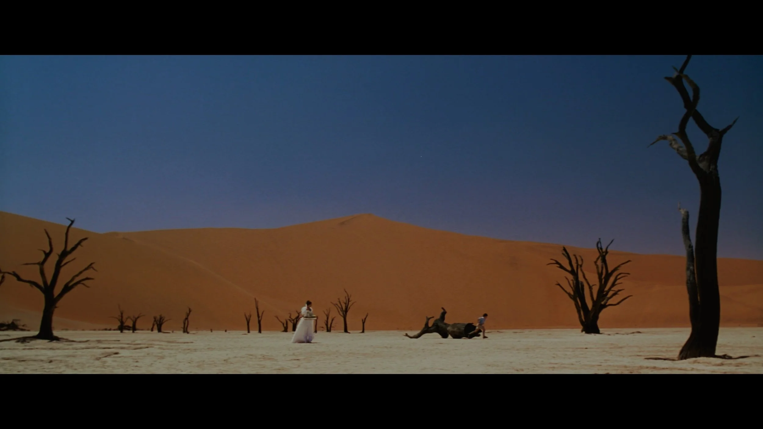 THE CELL_t02.mkv_20260516_232814.729.jpg