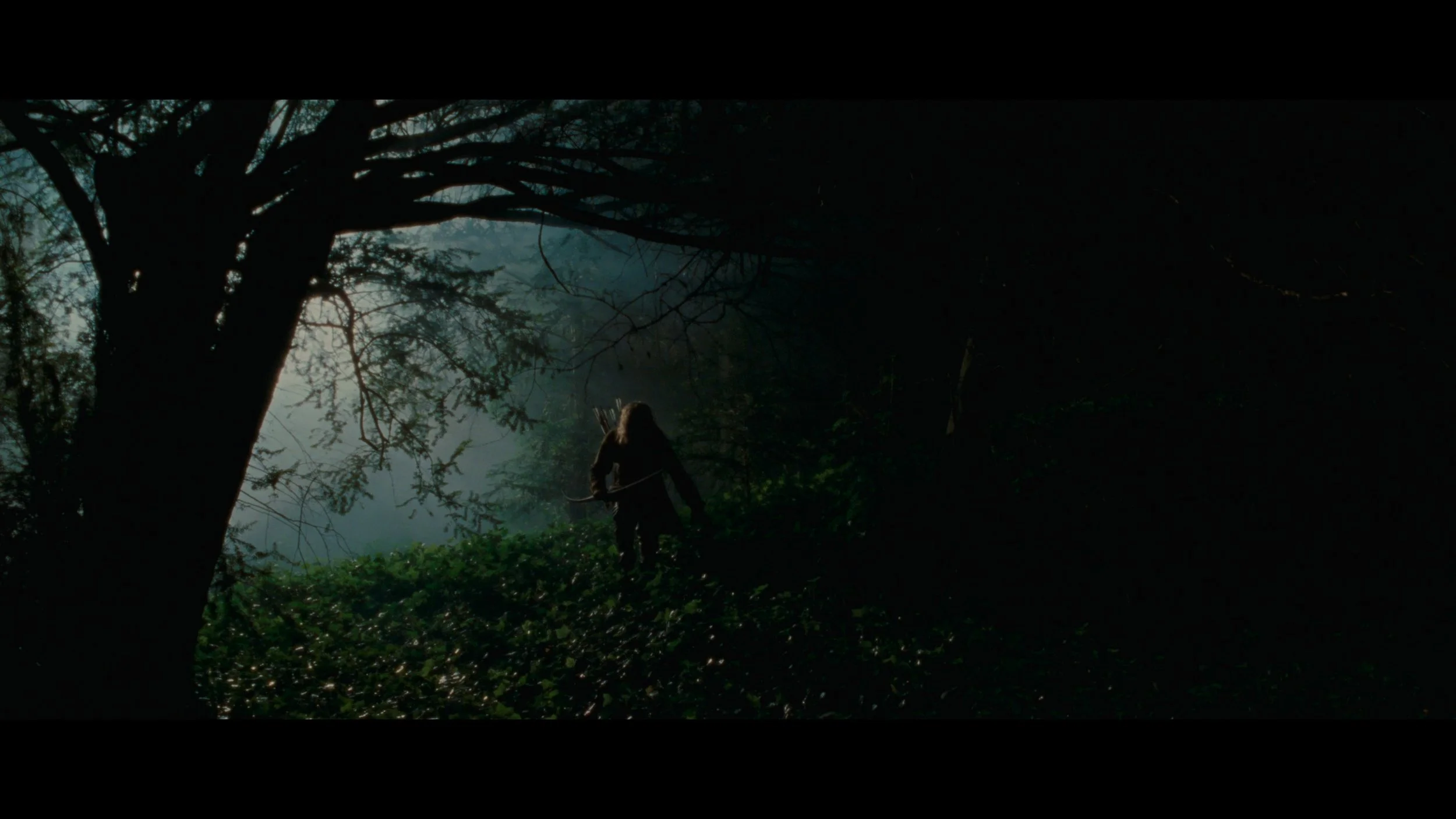BROTHERHOOD OF THE WOLF_t00.mkv_20251206_204850.365.jpg