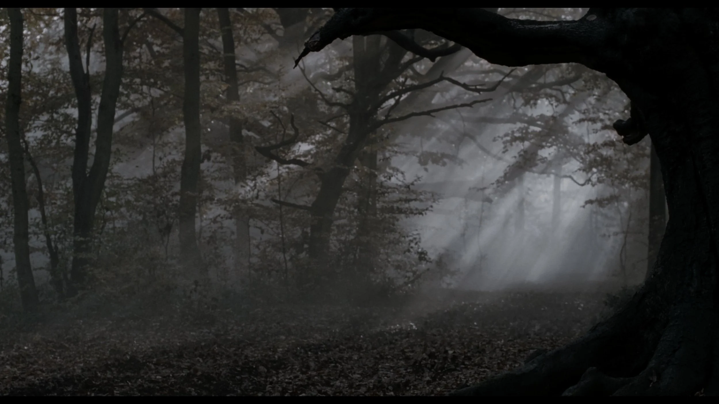 Sleepy Hollow (Remastered)_t00.mkv_20260513_215100.463.jpg