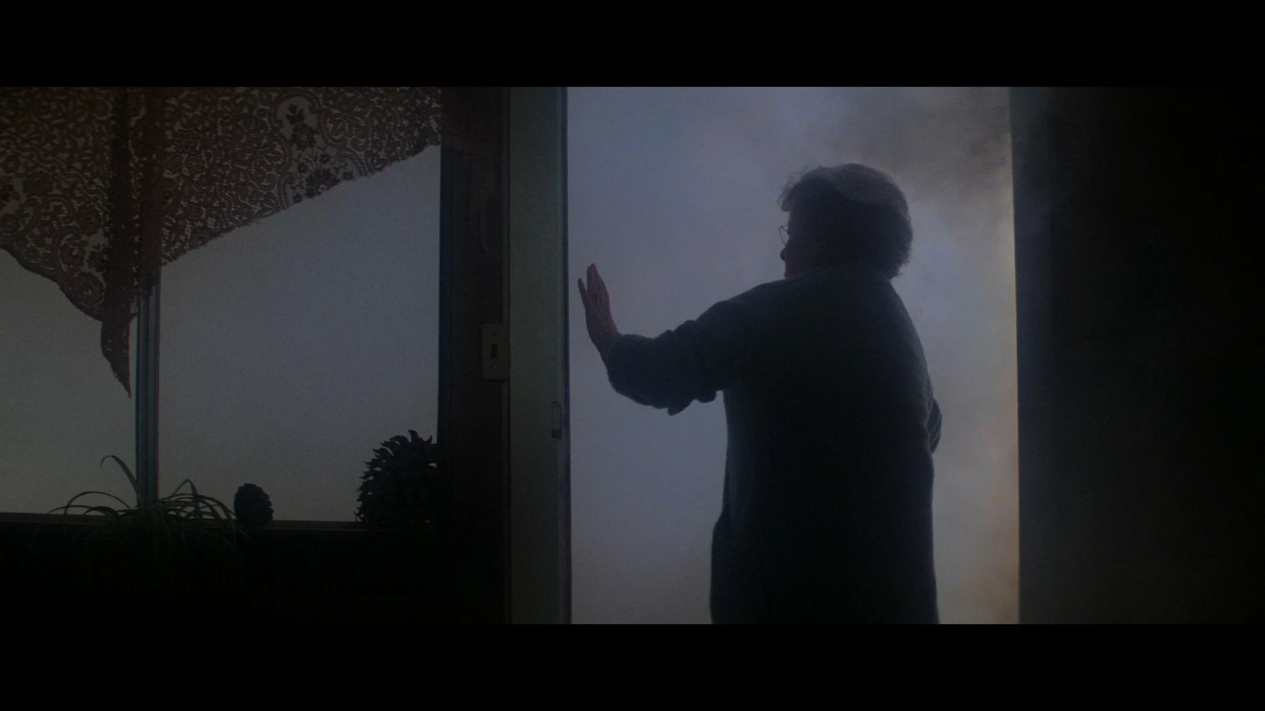 The Fog_t02.mkv_20260528_120517.320.jpg
