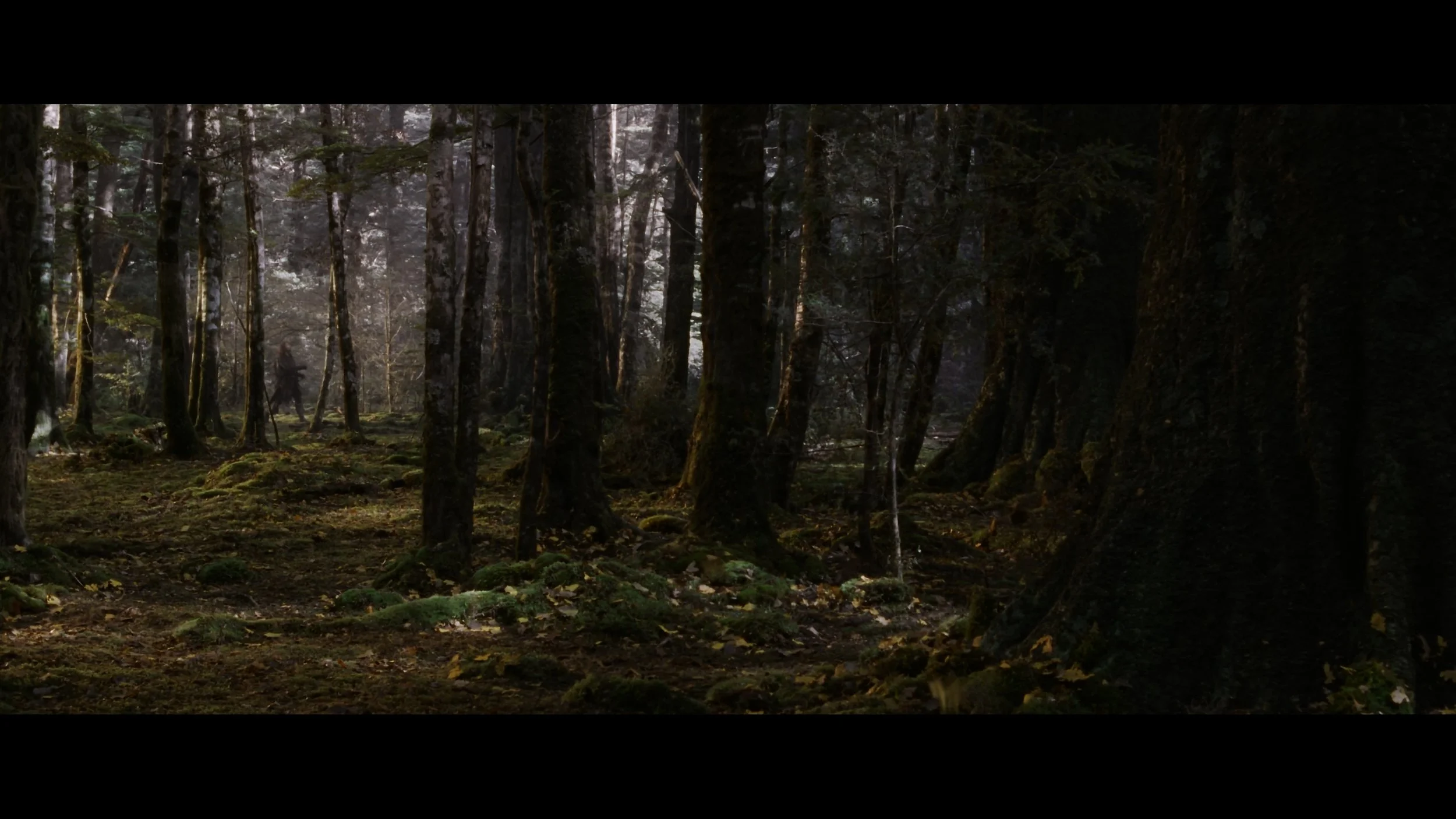 The Lord of the Rings- The Fellowship of the Ring (EXT.) PT. 2-SEG FPL_MainFeature_t02.mkv_20260308_100637.771.jpg