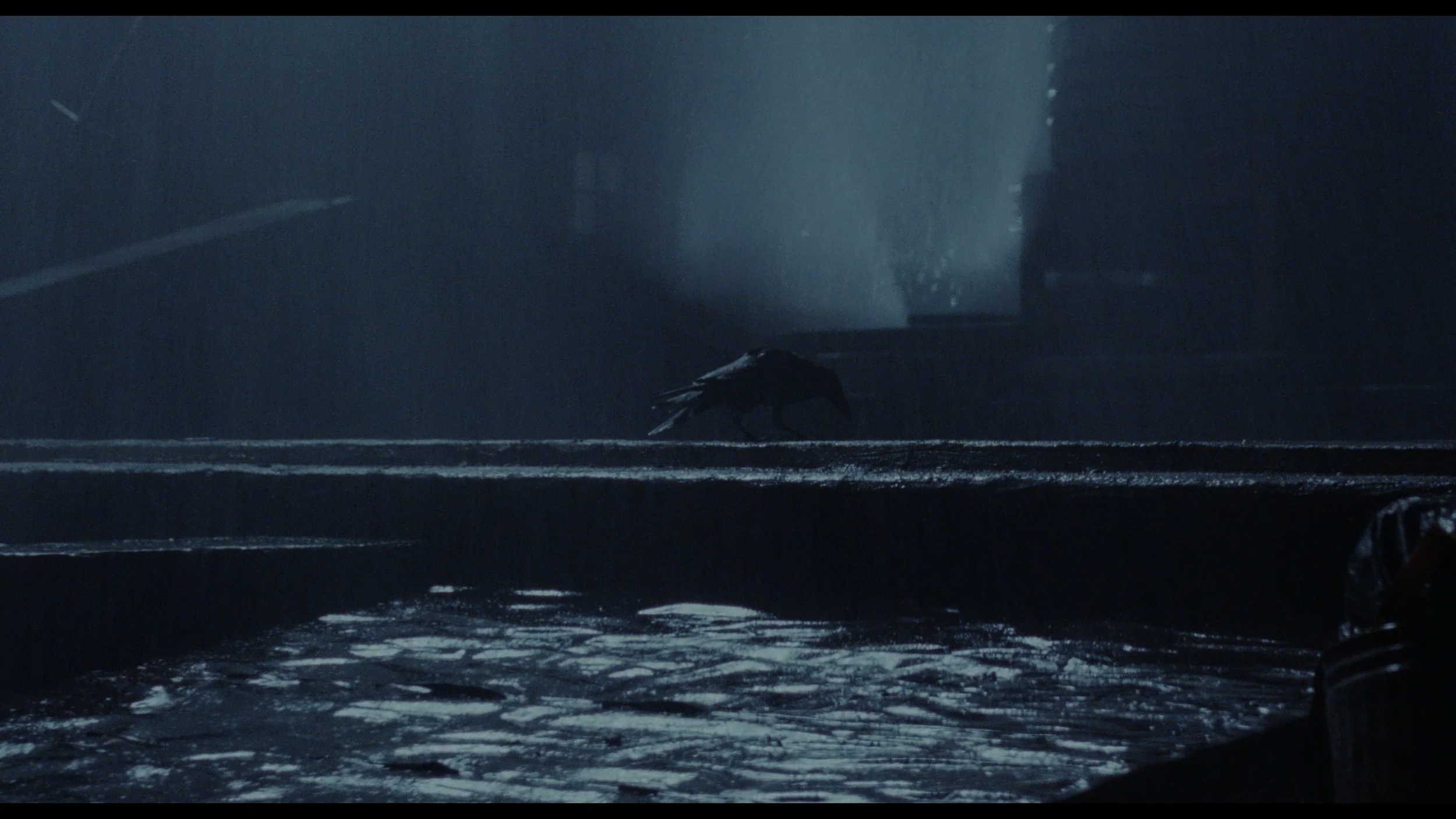 The Crow (Remastered)_t00.mkv_20260516_004313.920.jpg