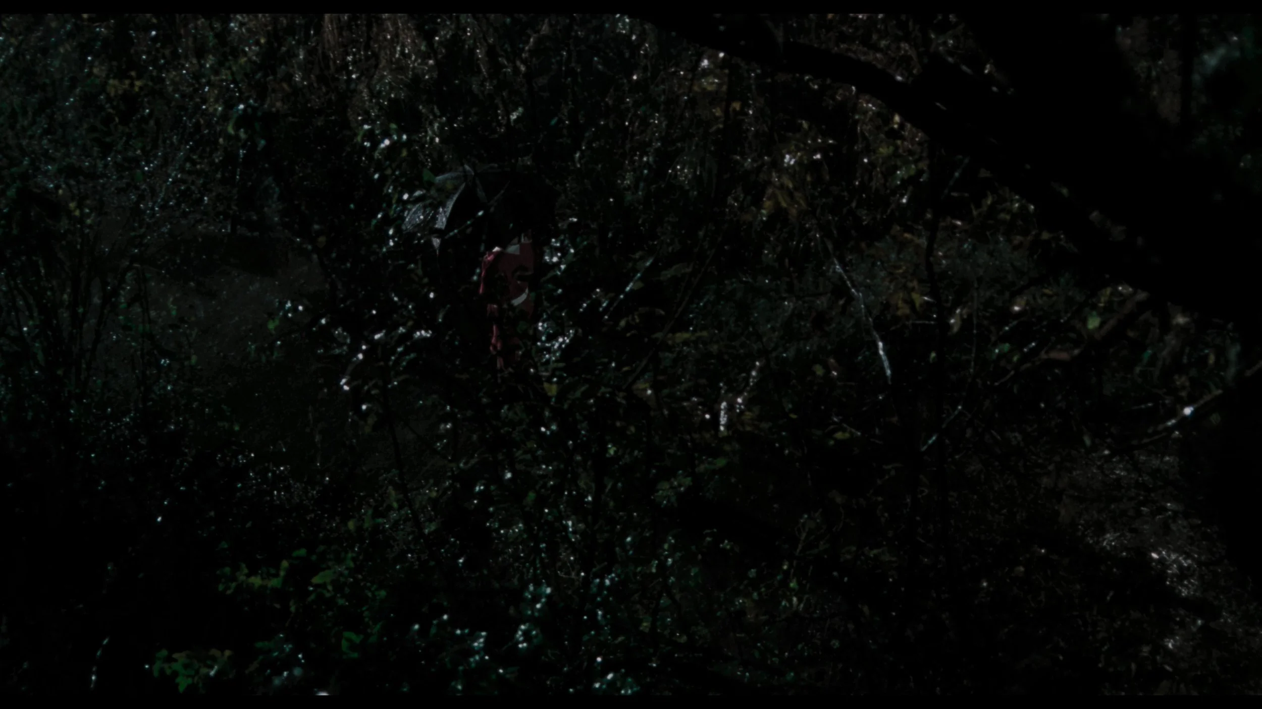 Memories Of Murder_t00.mkv_20260419_122453.251.jpg