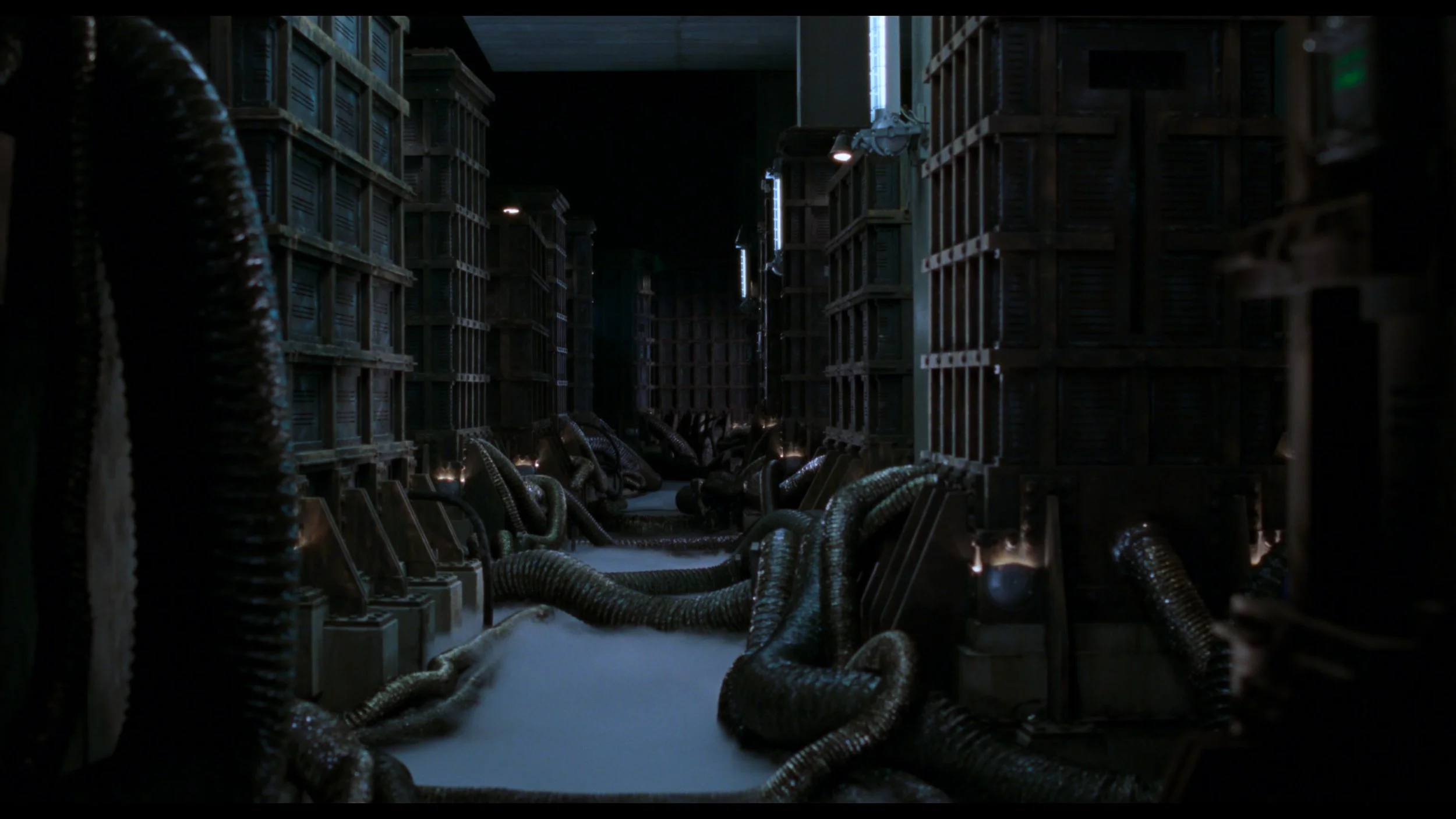 Resident Evil_t00.mkv_20260514_130826.935.jpg