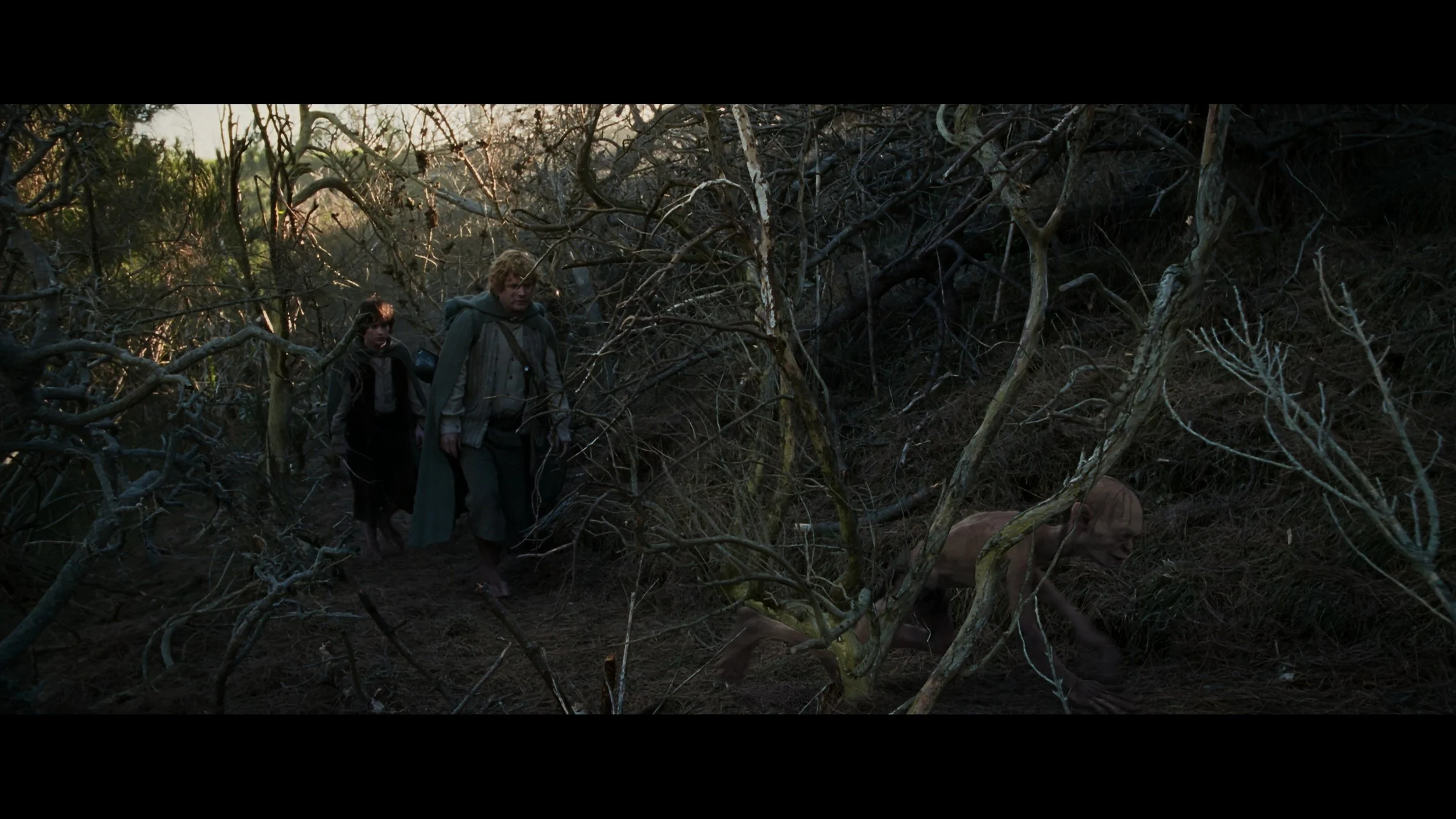 The Lord of the Rings- The Return of the King (EXT.) PT. 1-SEG FPL_MainFeature_t02.mkv_20260309_235231.570.jpg