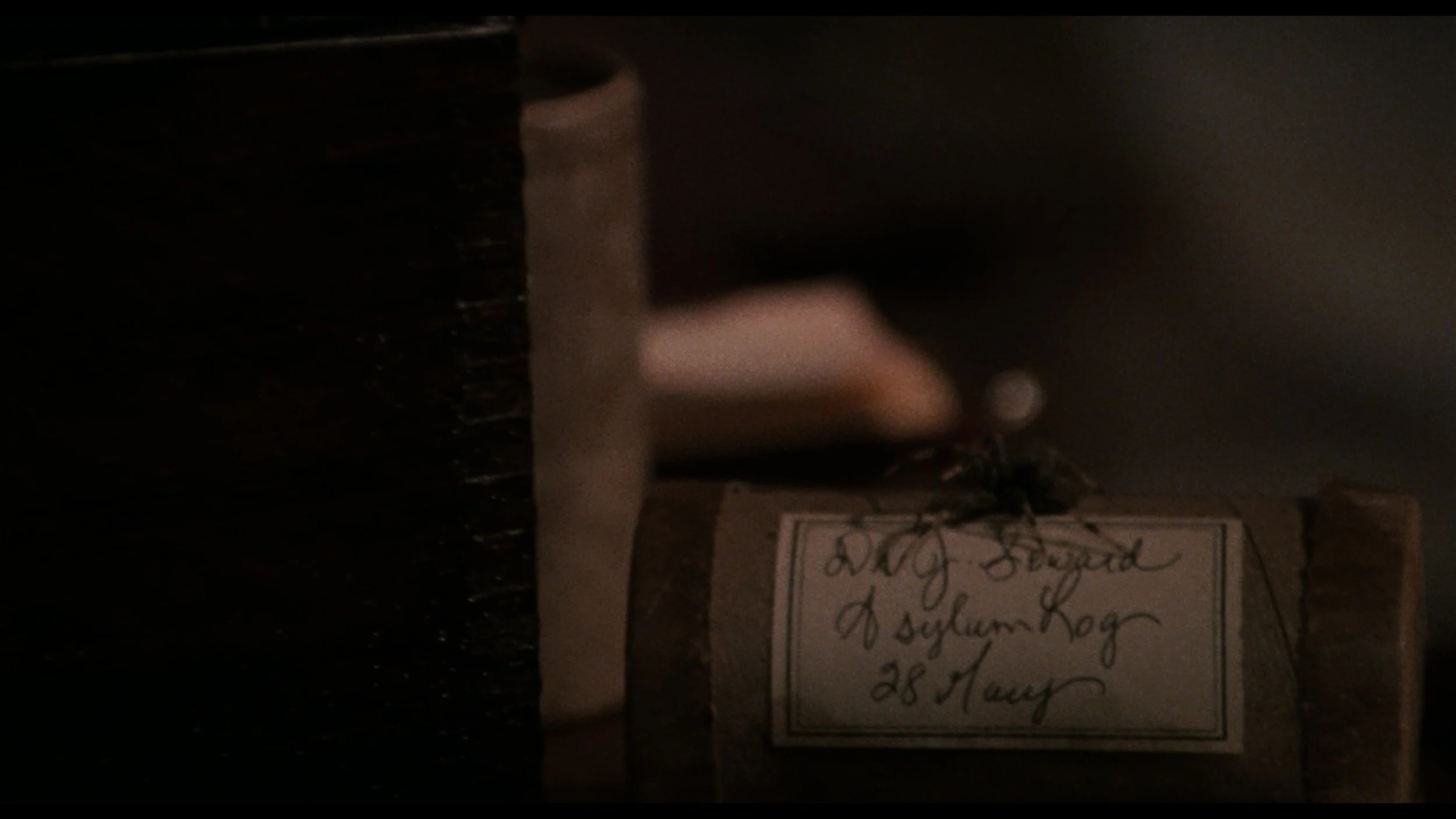Bram Stoker's Dracula_t01.mkv_20260515_141845.584.jpg