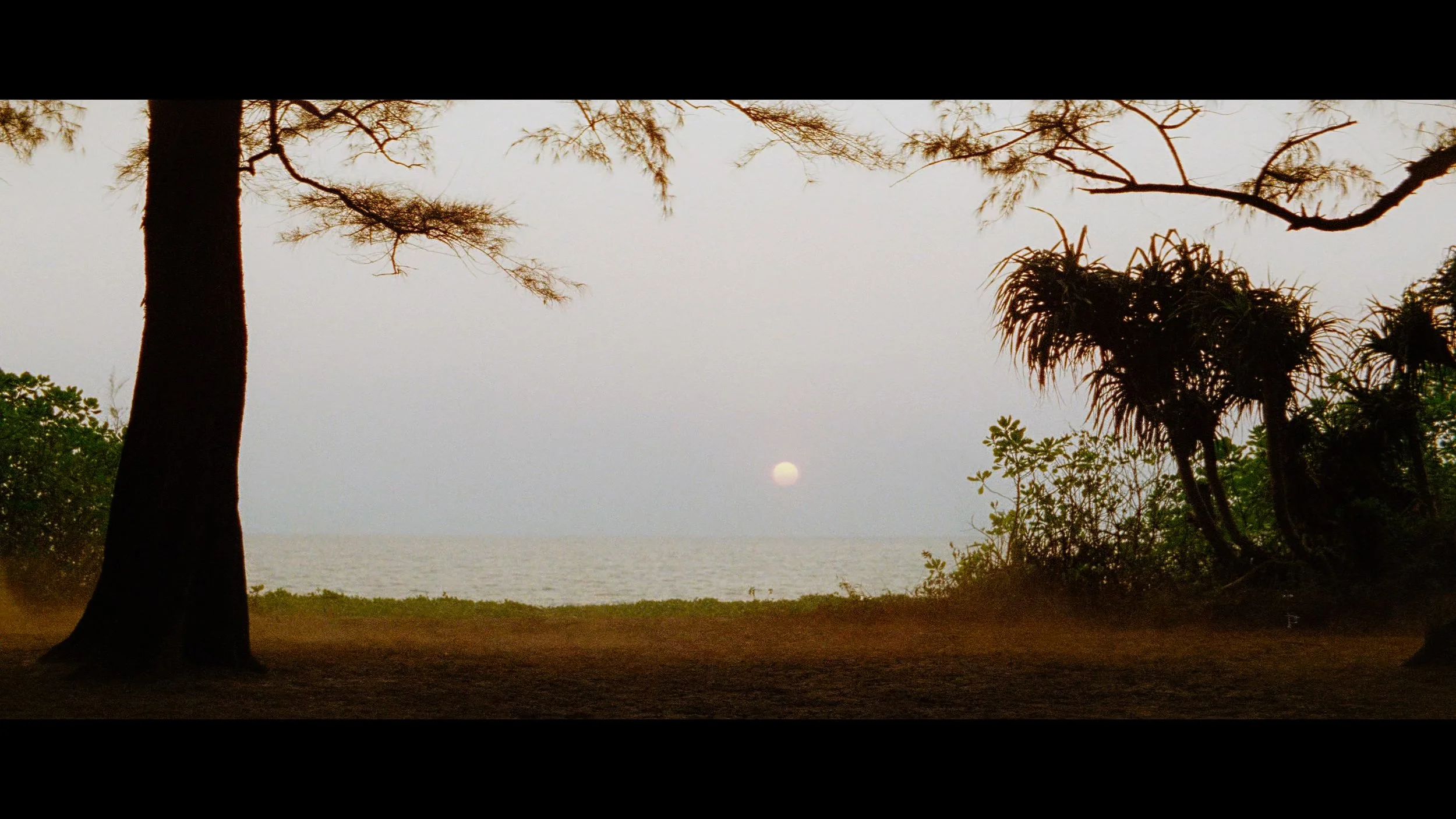CUTTHROAT ISLAND_t00.mkv_20260427_131825.941.jpg