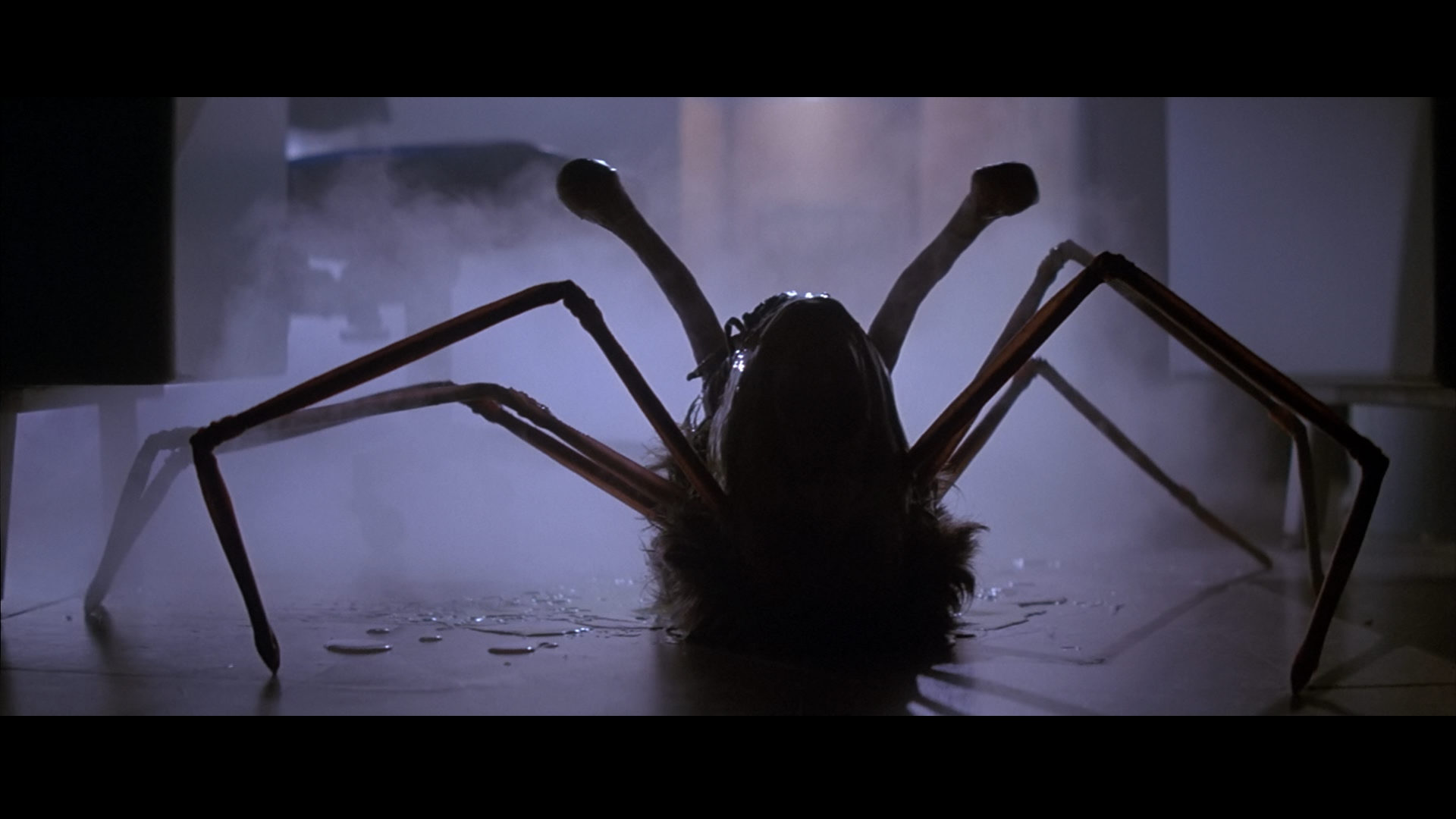 screenshot-lrg-34 (1).png