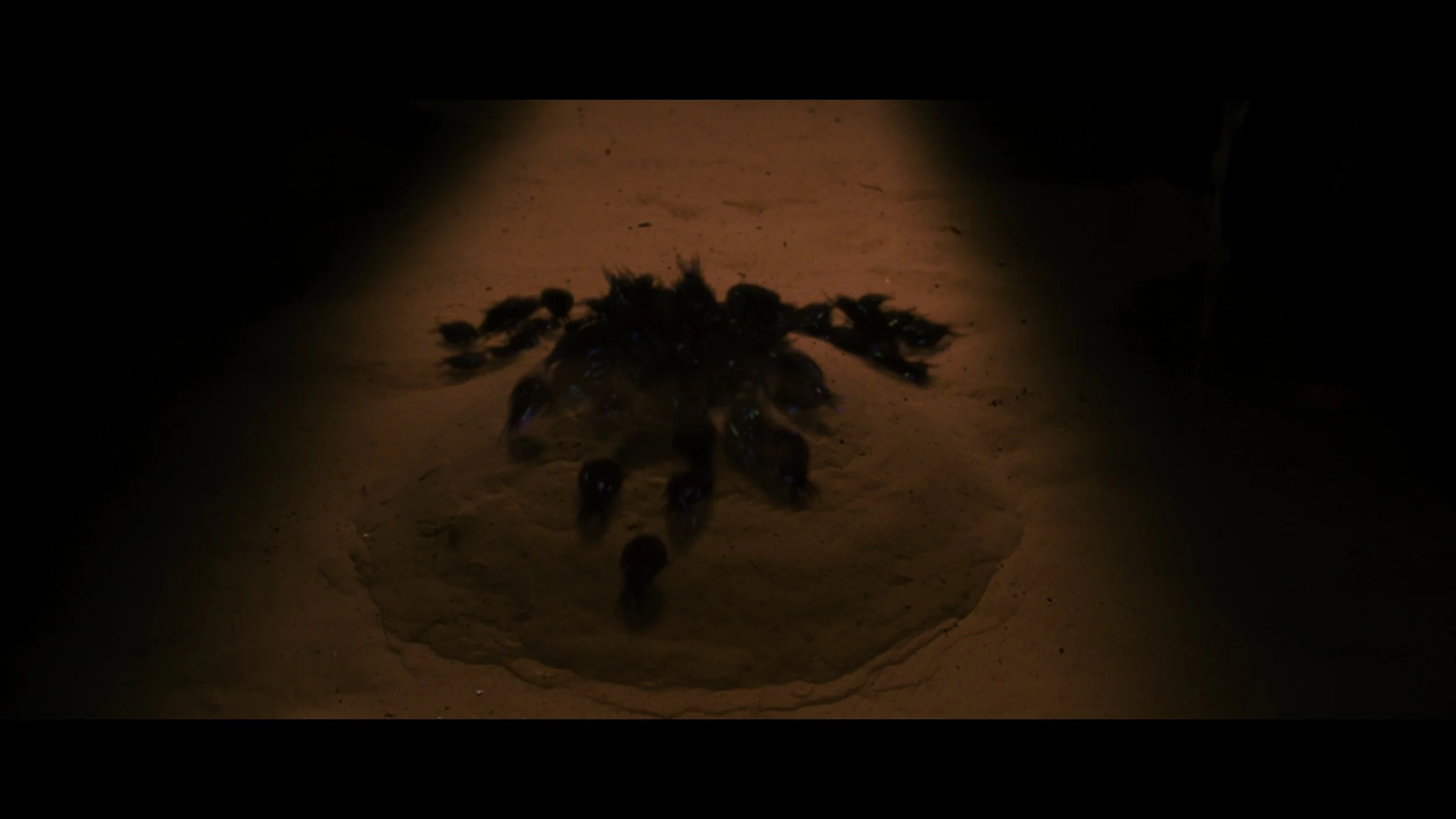 The Mummy_t01.mkv_20260511_203358.989.jpg