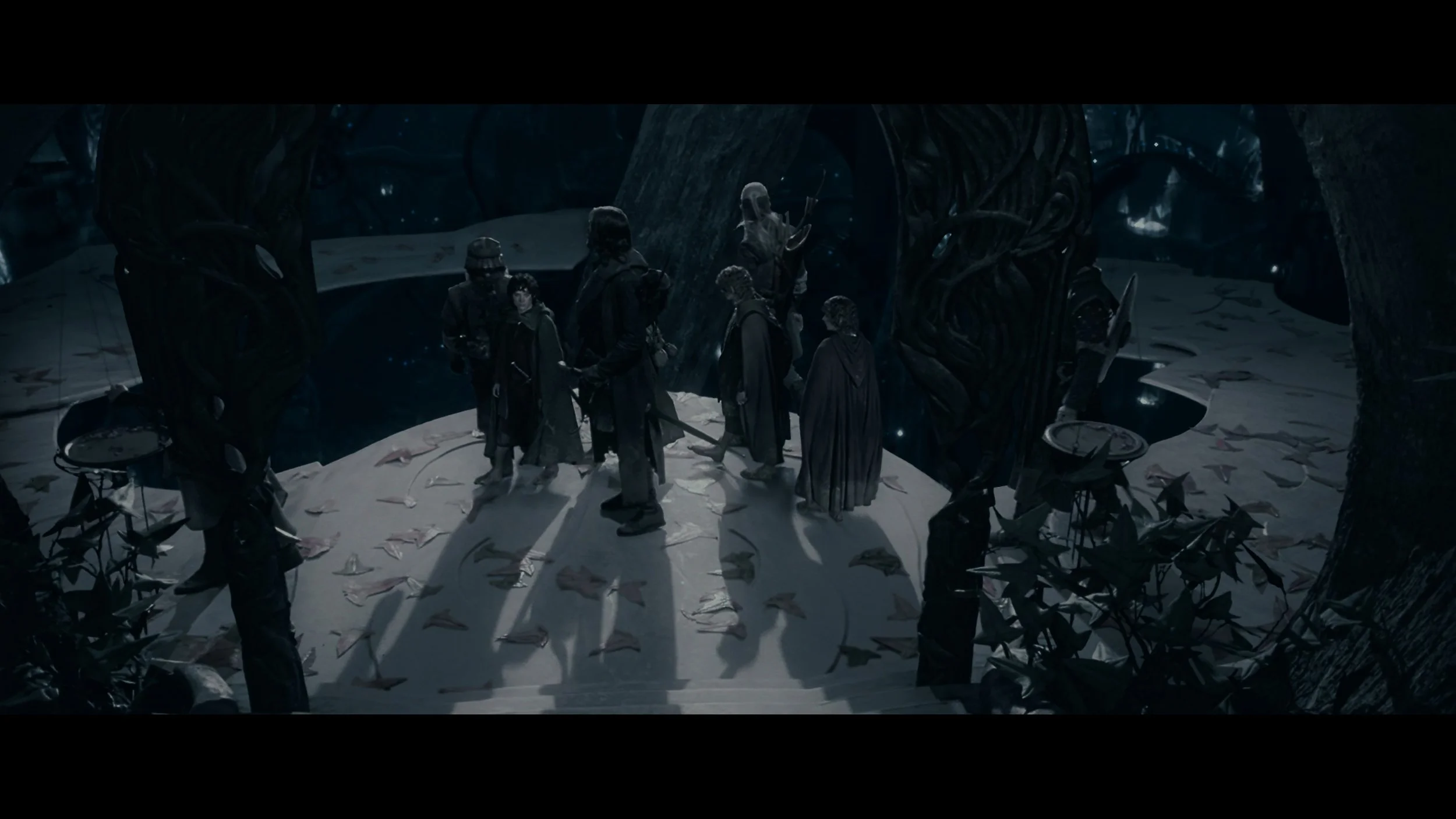 The Lord of the Rings- The Fellowship of the Ring (EXT.) PT. 2-SEG FPL_MainFeature_t02.mkv_20260308_100802.437.jpg