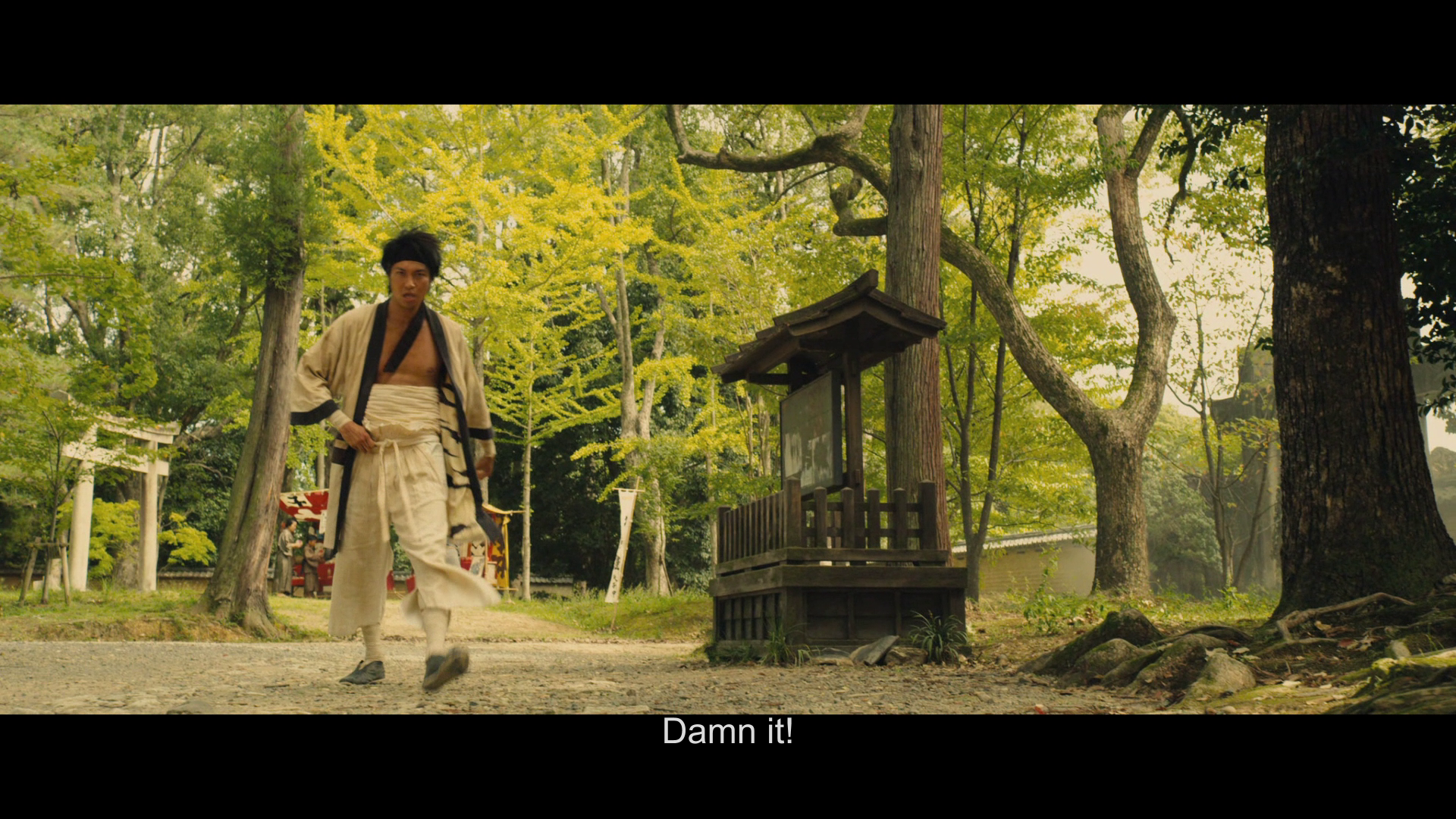vlcsnap-2025-06-29-20h30m02s967.png