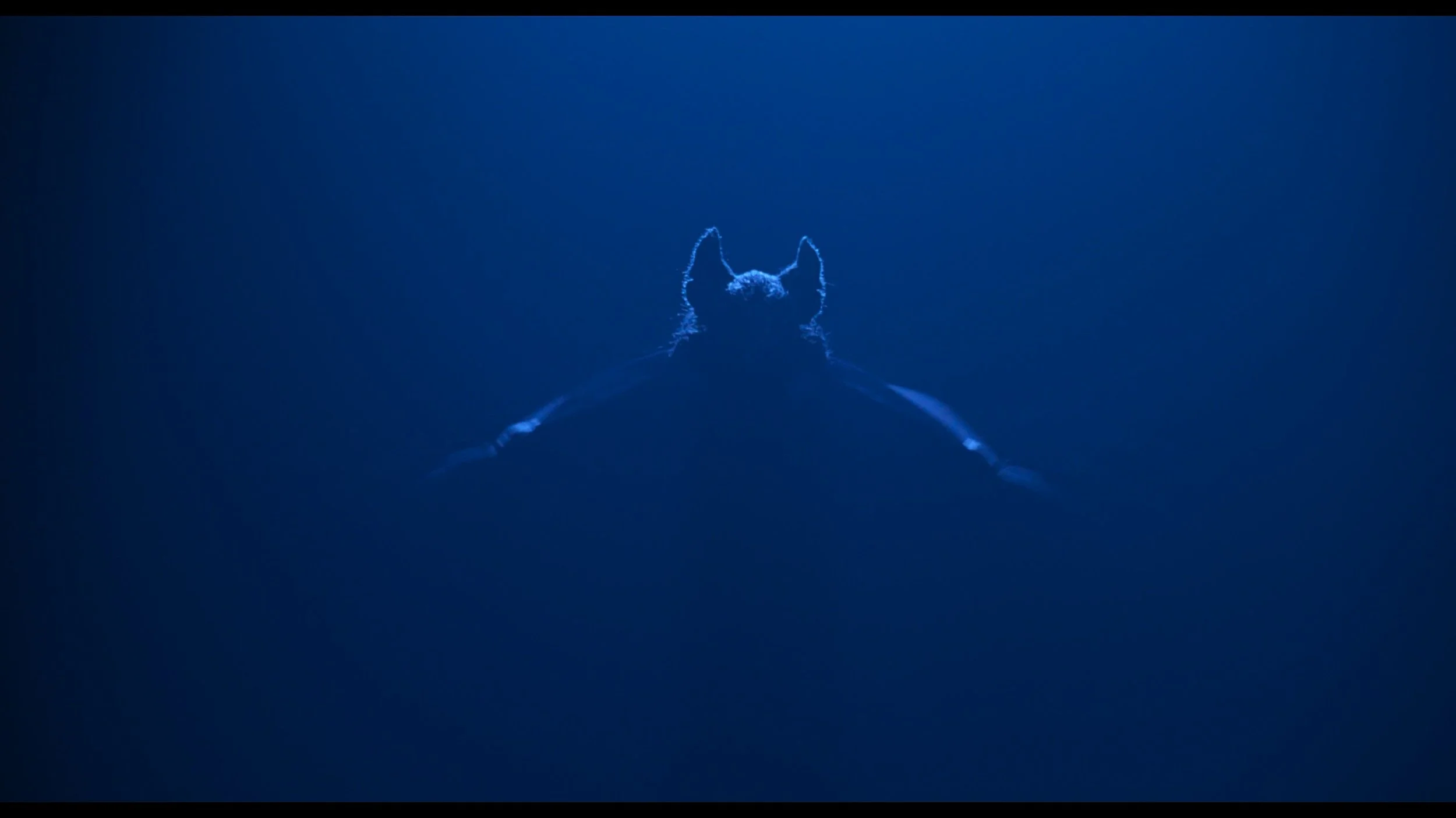 Batman Forever_t00.mkv_20260522_175740.418.jpg