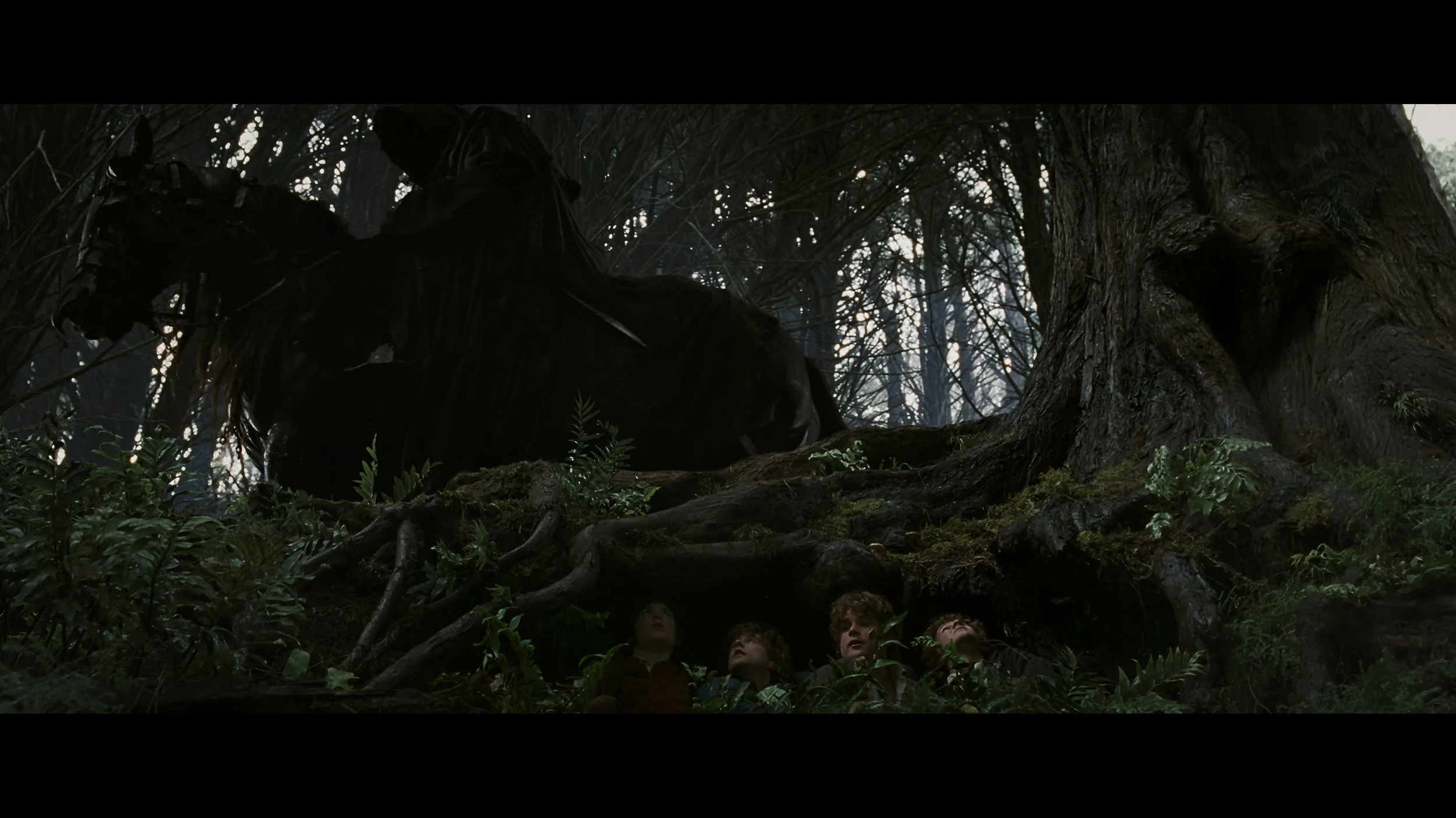 The Lord of the Rings- The Fellowship of the Ring (EXT.) PT. 1_t05.mkv_20251212_203115.460.jpg